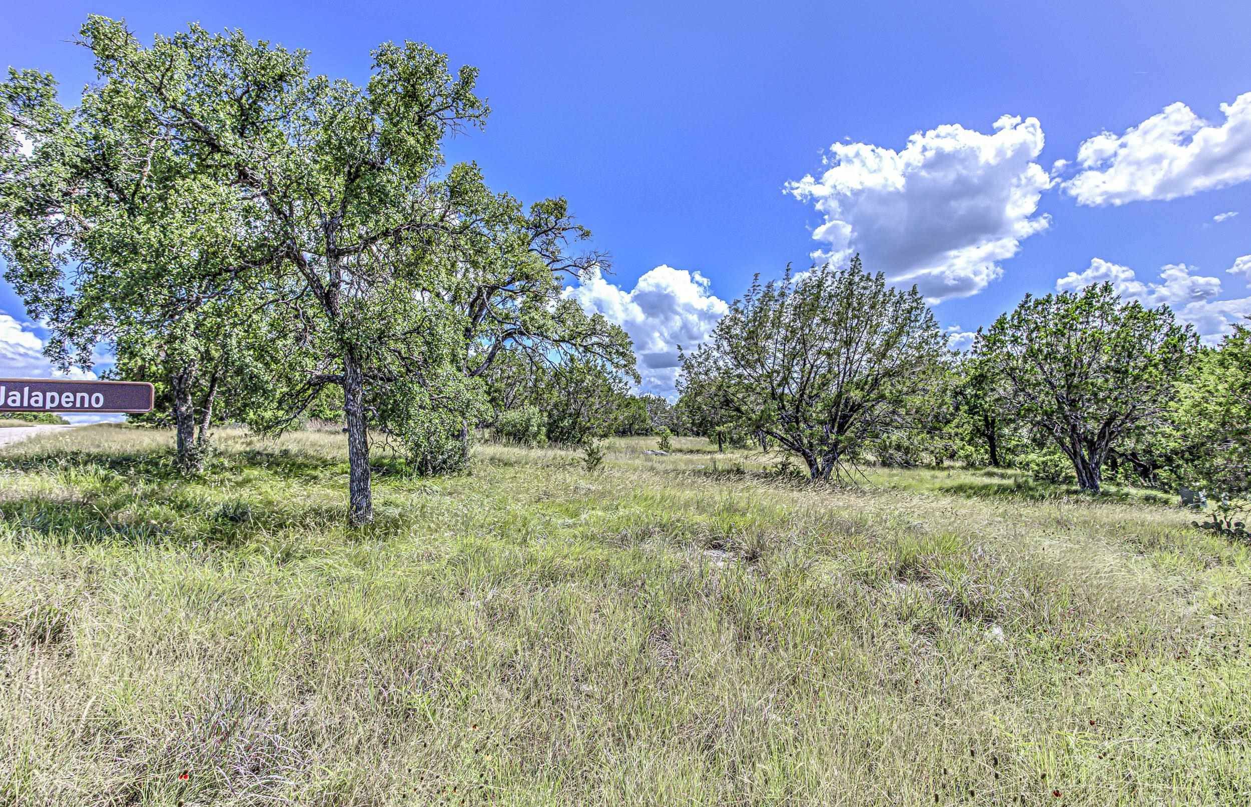 Jalapeno/Panorama Pass, Horseshoe Bay, TX 78657