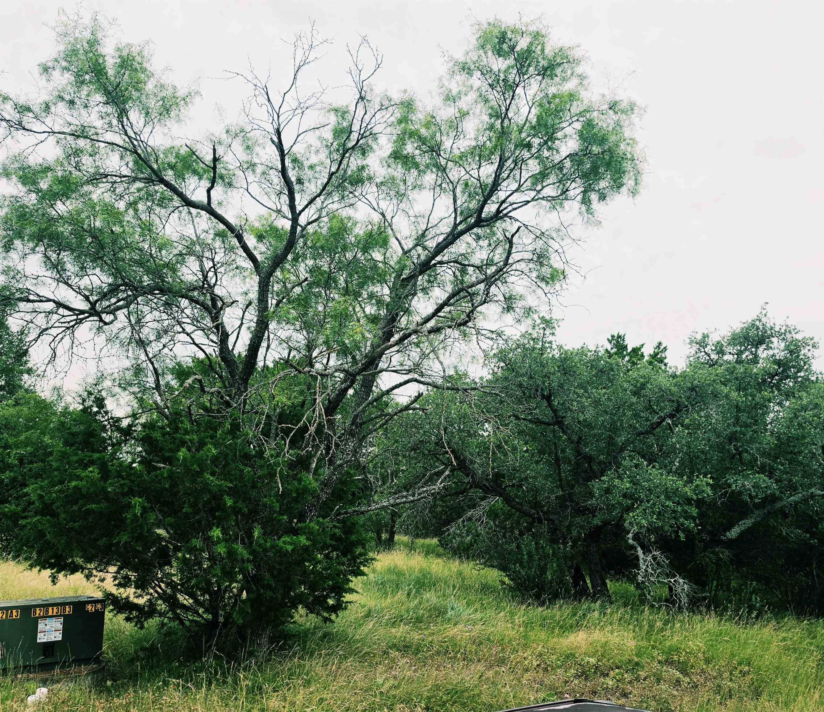 419 Hi Ridge, Horseshoe Bay, TX 78657