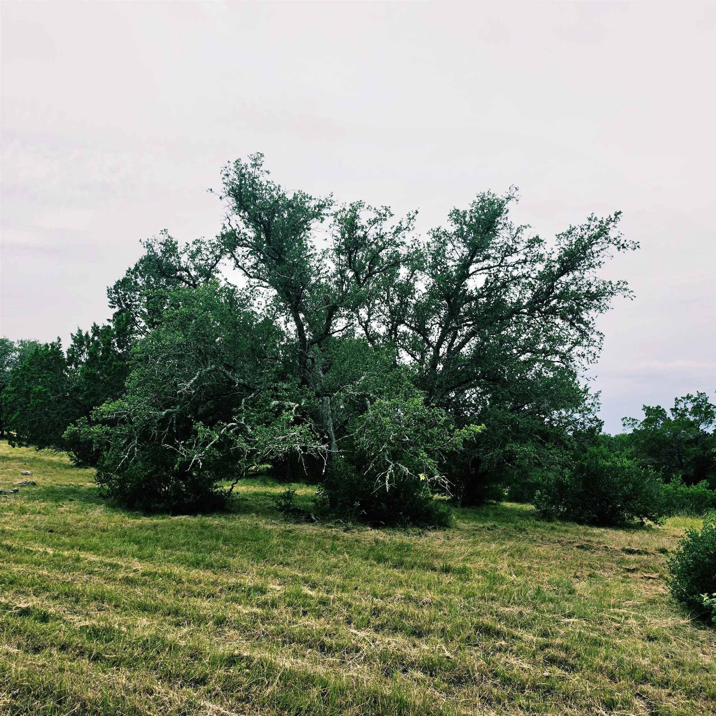 1302 Coach Whip, Horseshoe Bay, TX 78657
