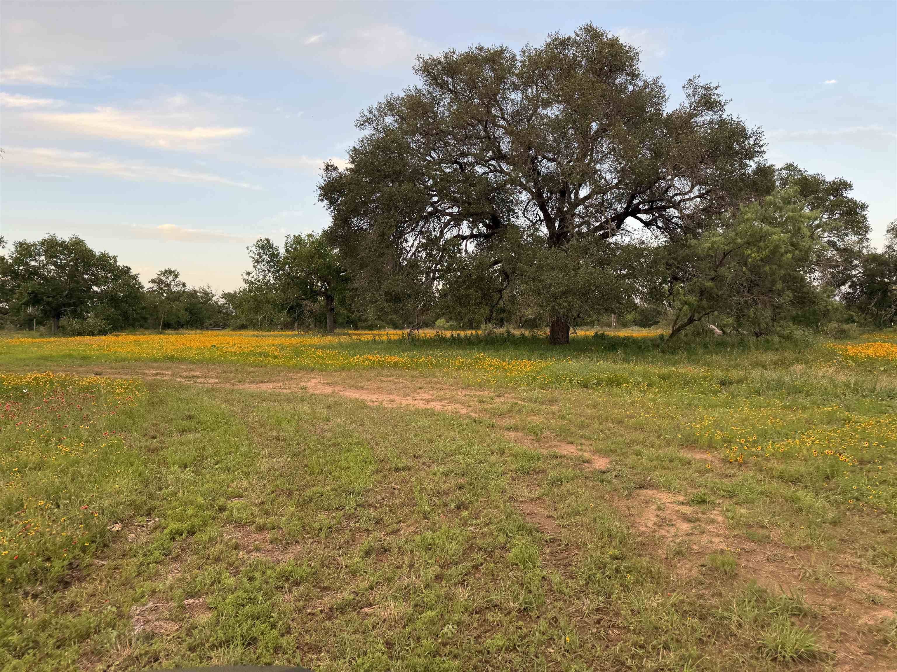 TBD FM 1980- Tract 1, Marble Falls, TX 78654