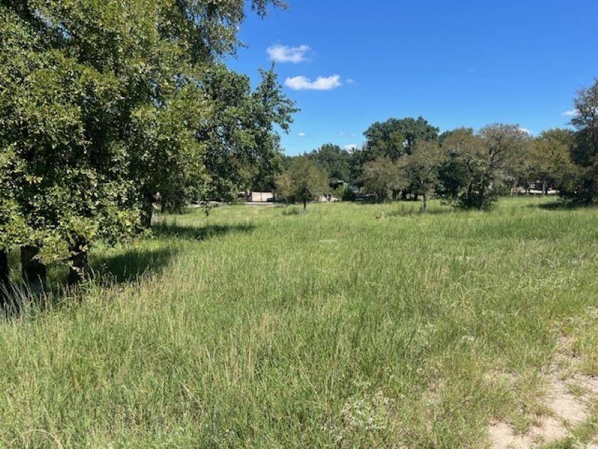 W1111 Blister Gold, Horseshoe Bay, TX 78657