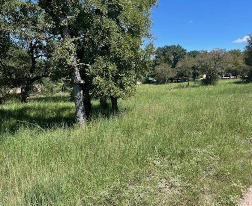 W1111 Blister Gold, Horseshoe Bay, TX 78657