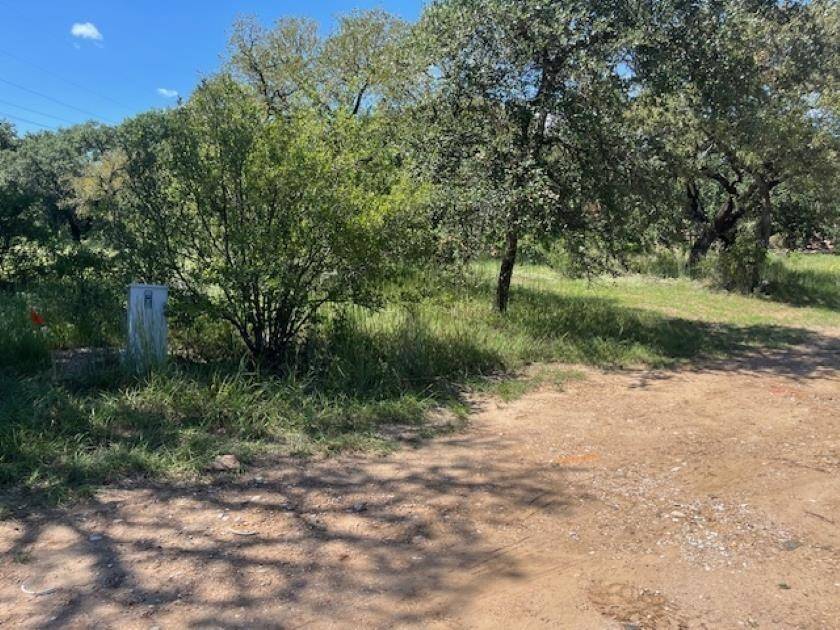 W1114 Blister Gold, Horseshoe Bay, TX 78657