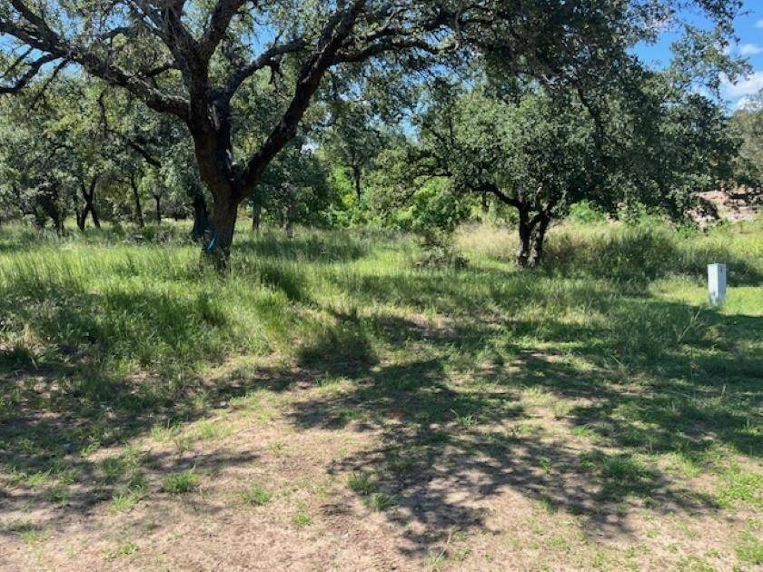 W1114 Blister Gold, Horseshoe Bay, TX 78657