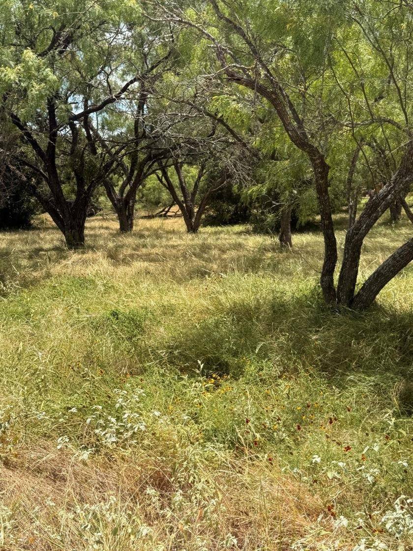W7017 Sky LN, Horseshoe Bay, TX 78657