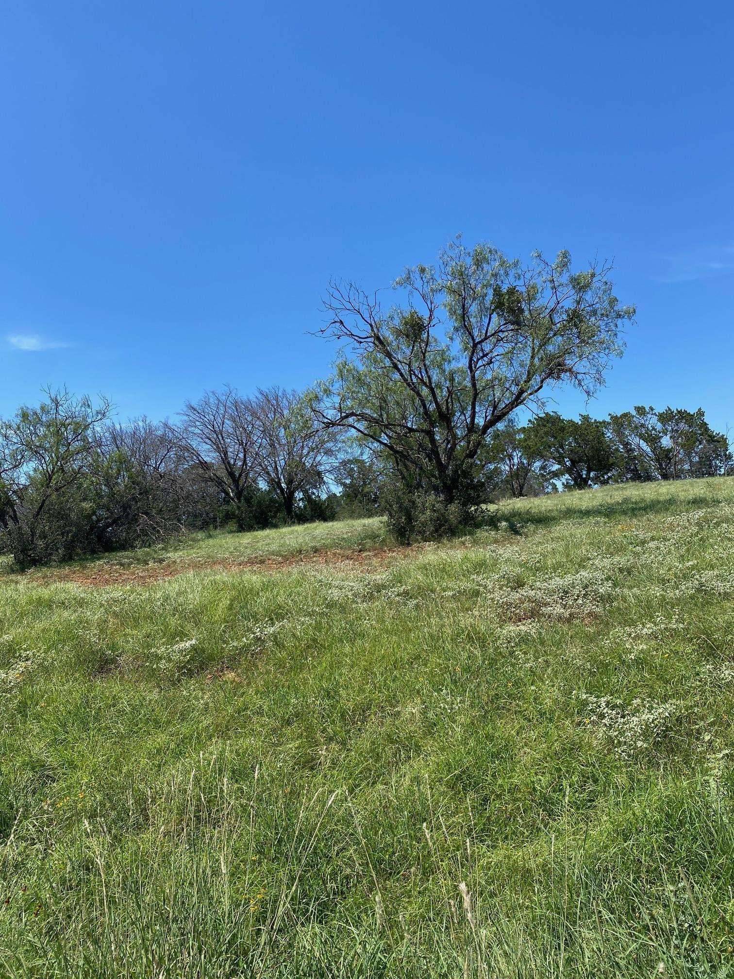 W25004 Apache Tears, Horseshoe Bay, TX 78657