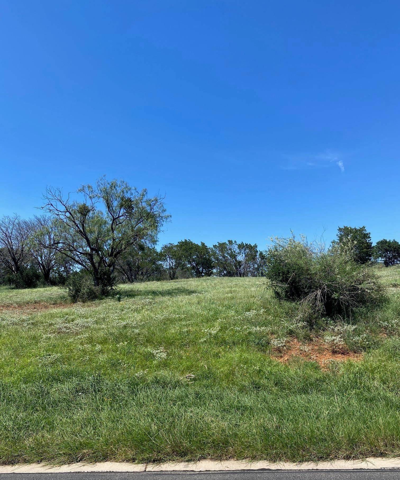 W25065 Apache Tears/White Dove, Horseshoe Bay, TX 78657