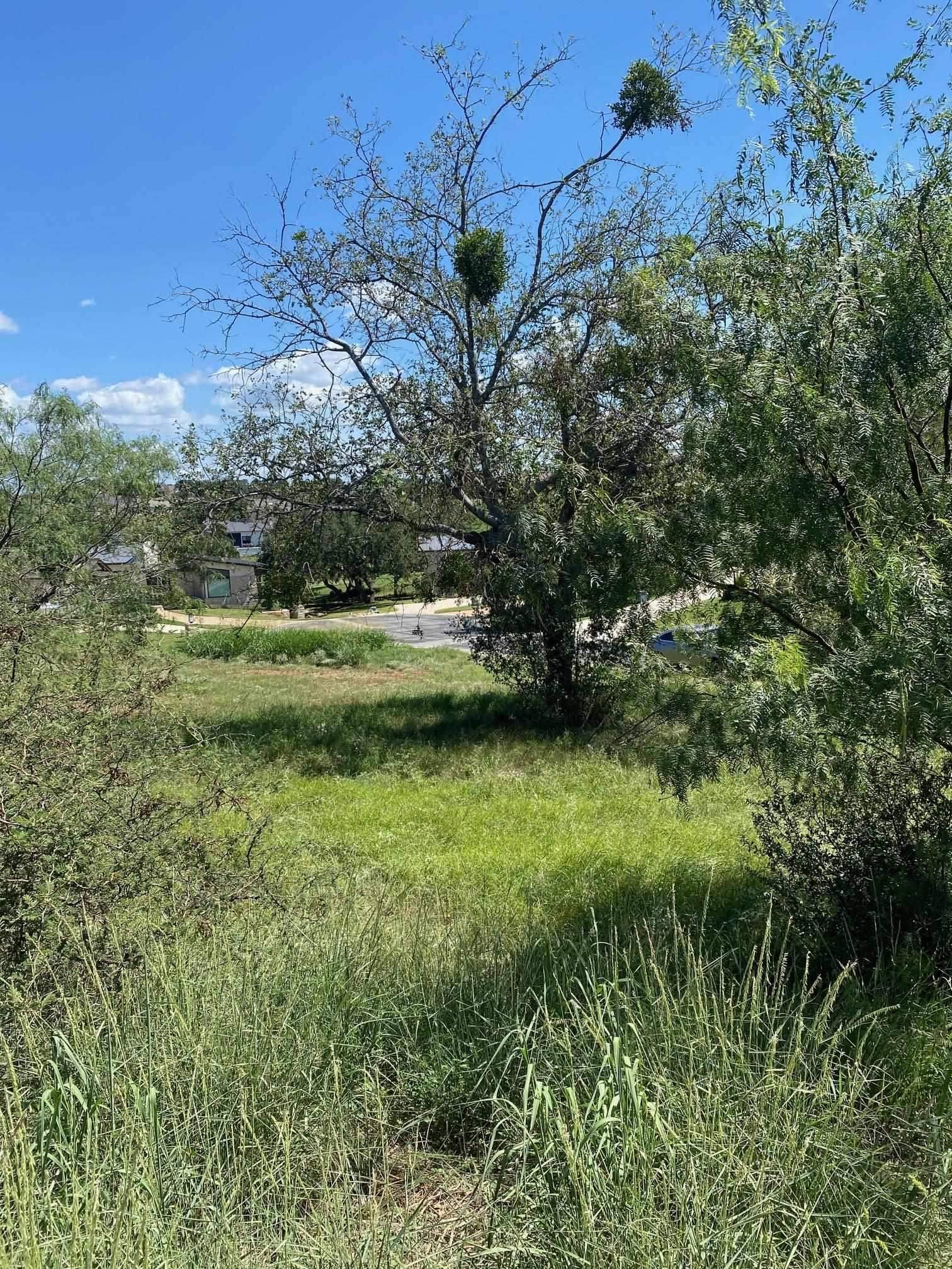 W25058 Apache Tears/White Dove COR, Horseshoe Bay, TX 78657