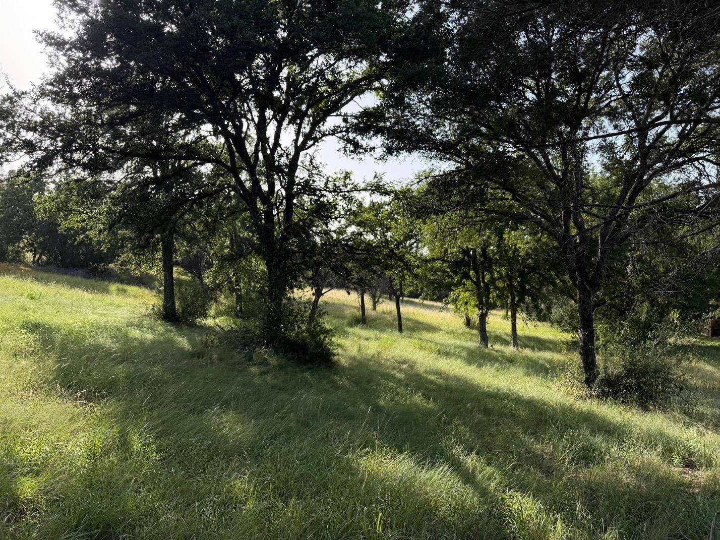 Lot W34007 Douglas, Horseshoe Bay, TX 78657