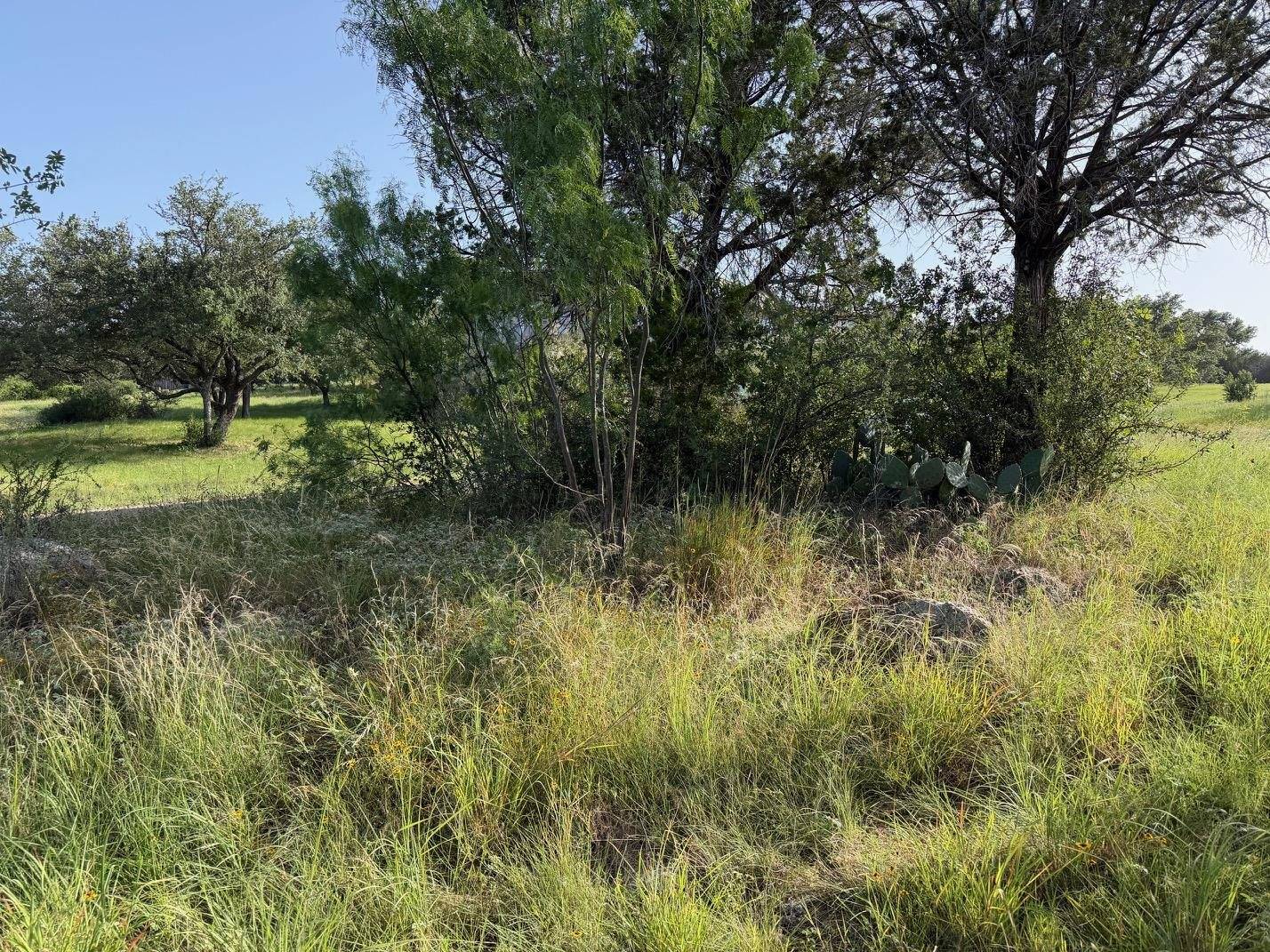 Lot W34007 Douglas, Horseshoe Bay, TX 78657