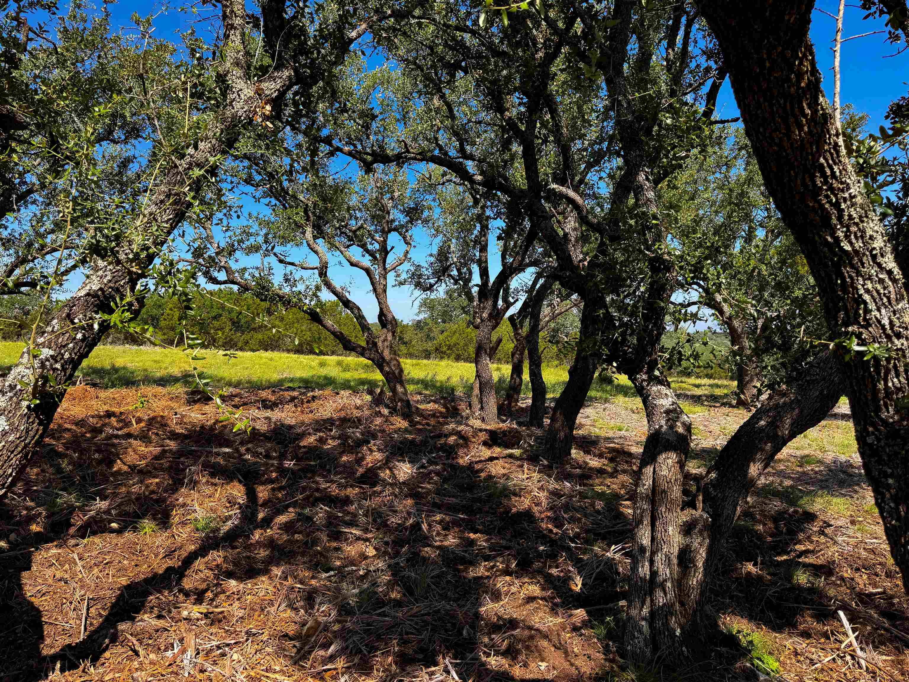 Lot 54 County Road 367, Pontotoc, TX 76869