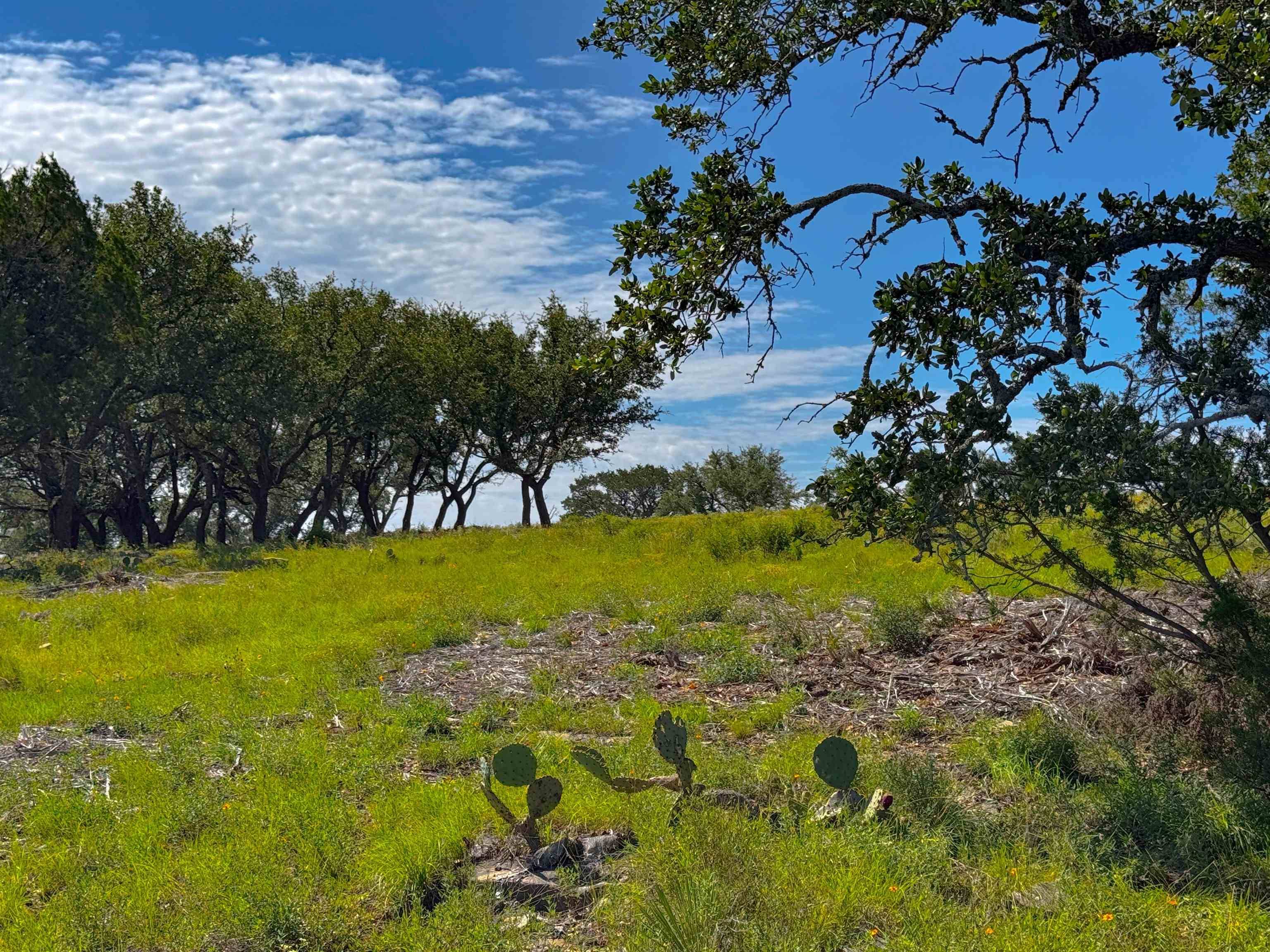 Lot 54 County Road 367, Pontotoc, TX 76869