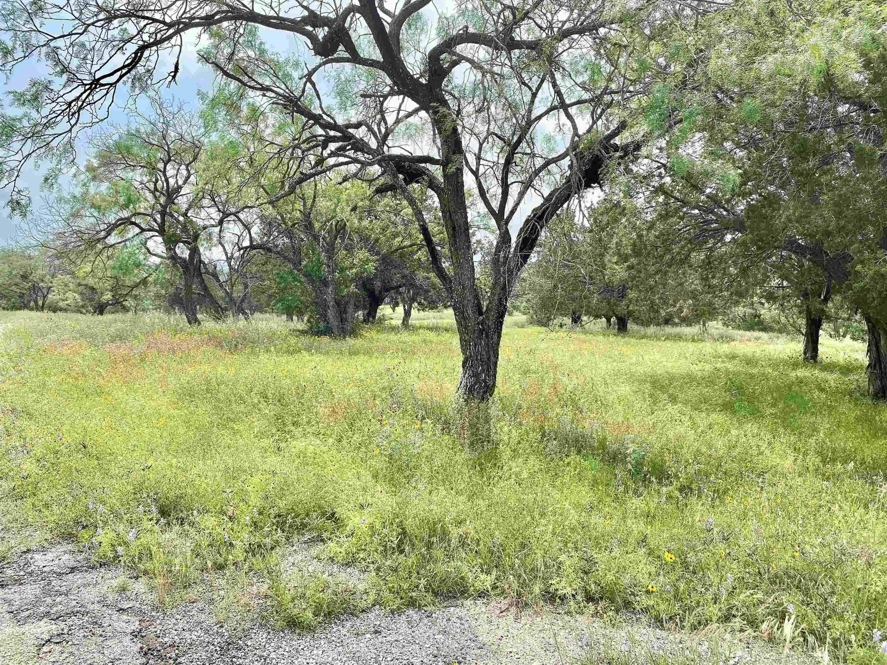 TBD Red Wine, Horseshoe Bay, TX 78657