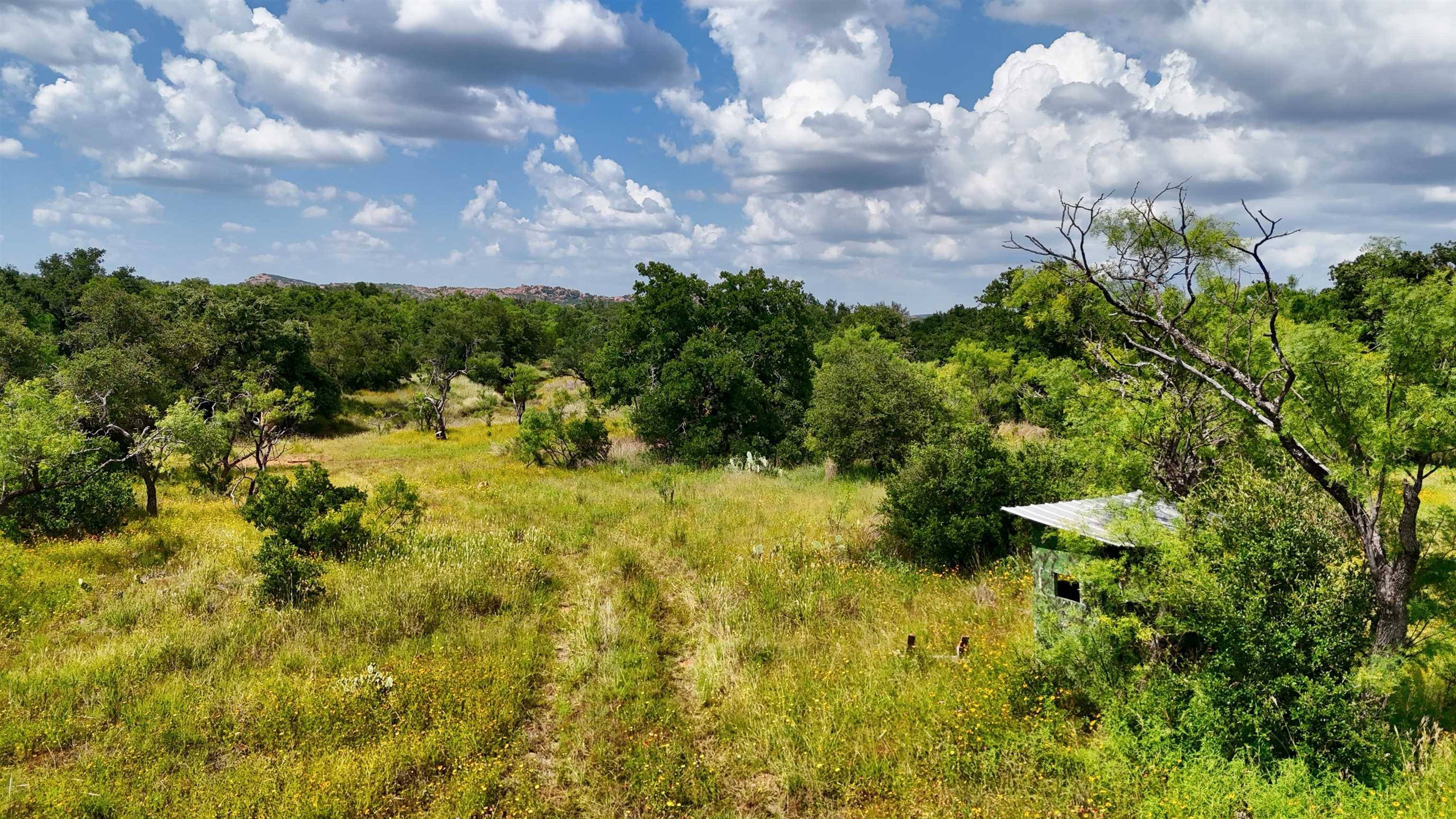 18248 Bode Peak Road, Pontotoc, TX 76869