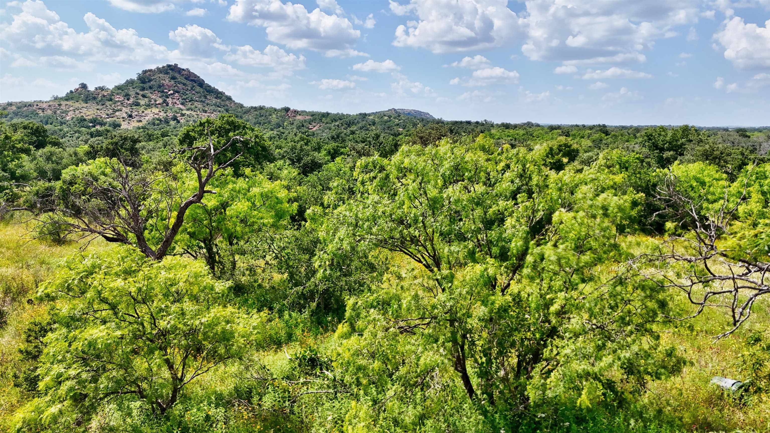 18248 Bode Peak Road, Pontotoc, TX 76869