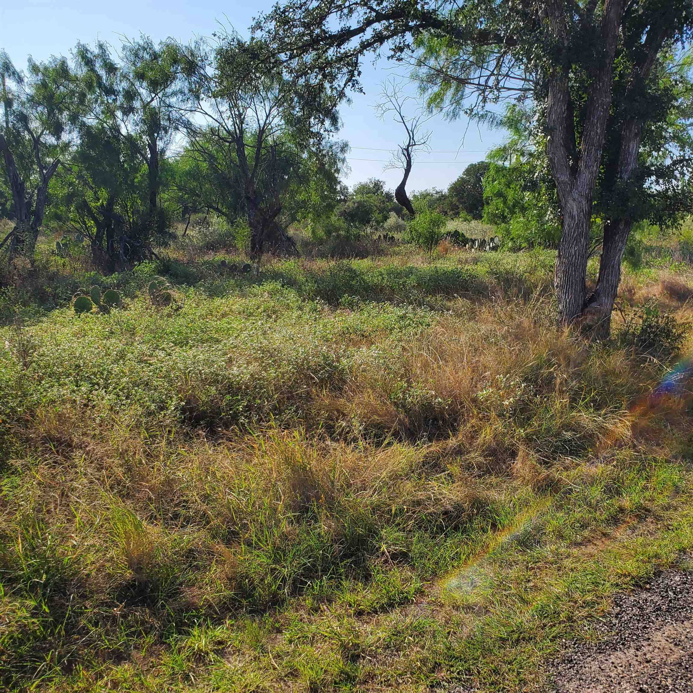 Lots 376 & 377 Woodcrest DR, Granite Shoals, TX 78654