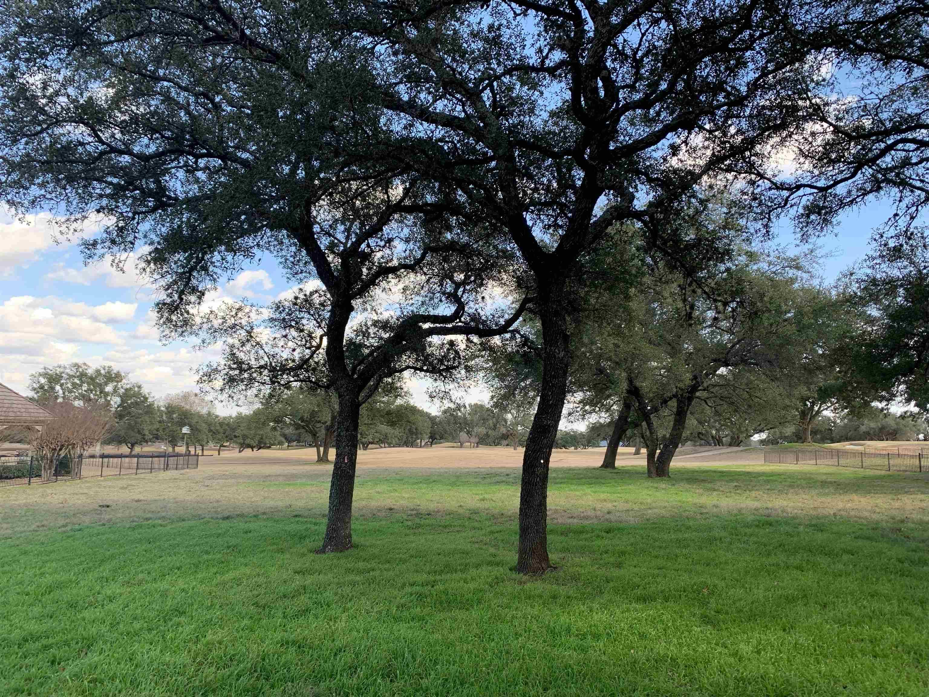 27029 Masters Pkwy, Spicewood, TX 78669-0000