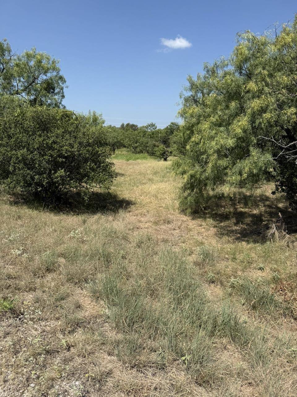 204 Colt, Horseshoe Bay, TX 78657
