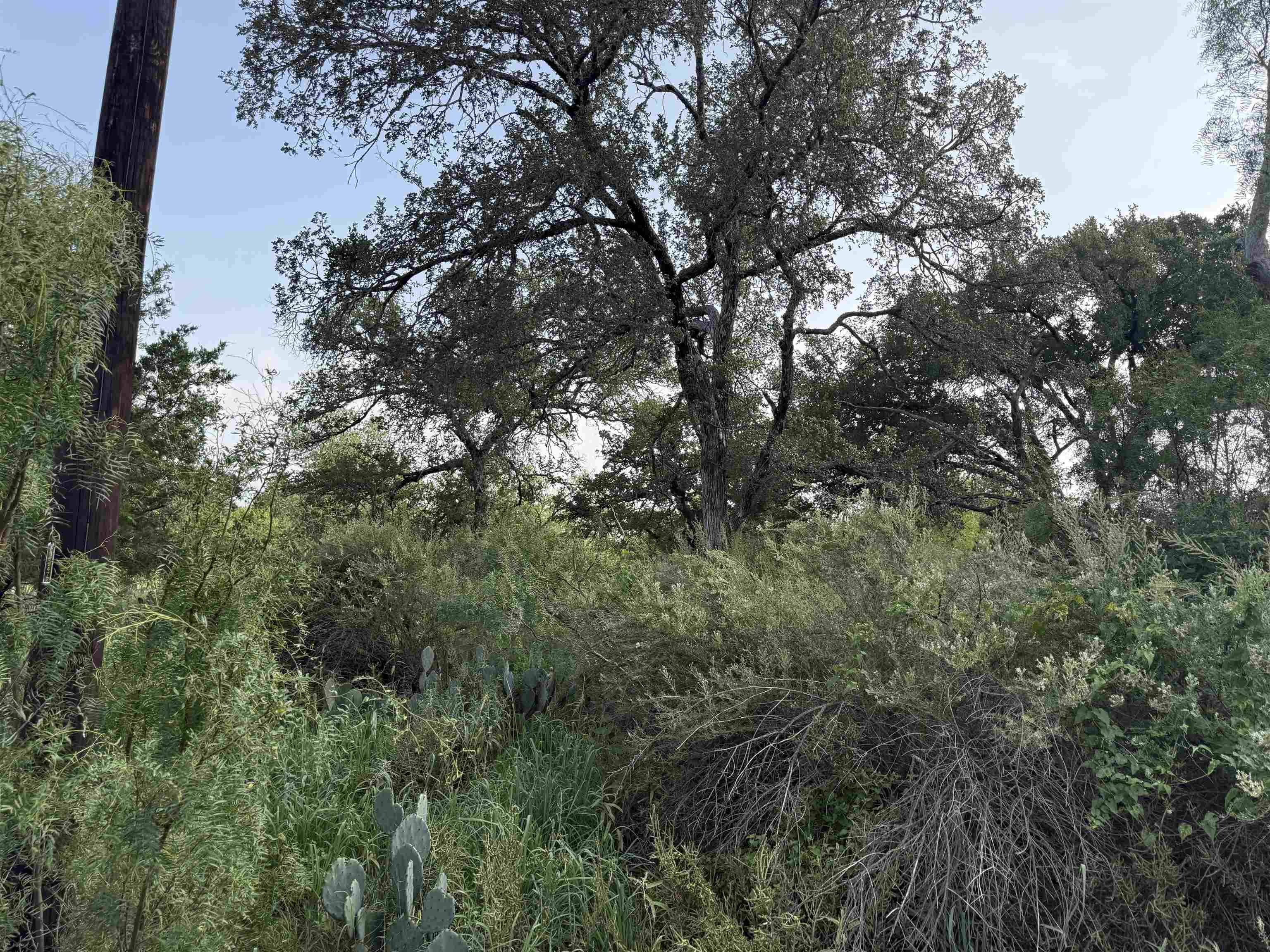 Lot 424 & 425 Oakhill DR, Granite Shoals, TX 78654