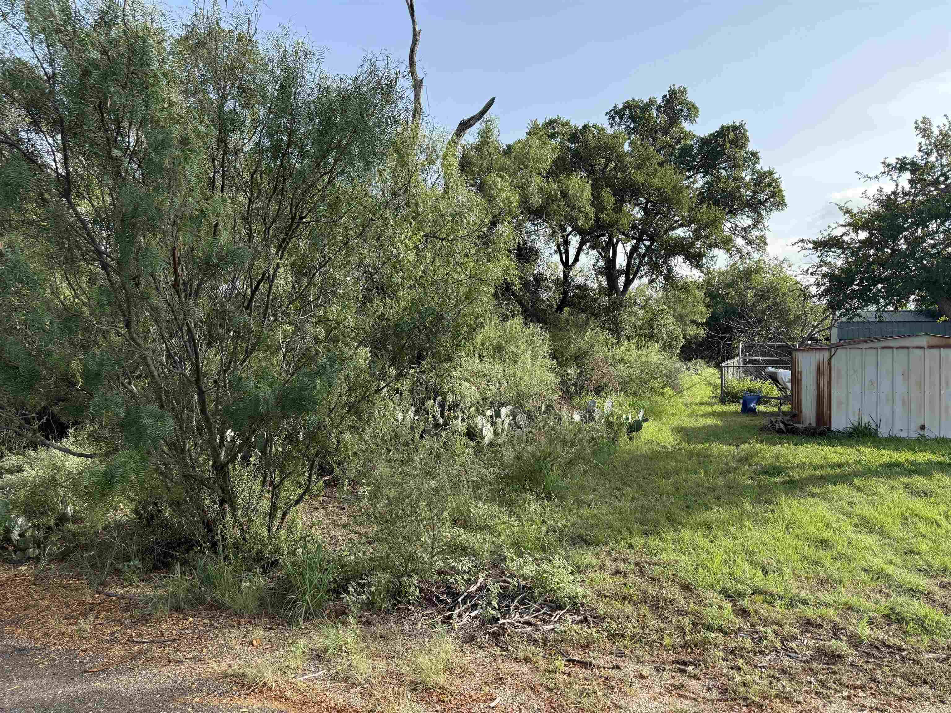 Lot 424 & 425 Oakhill DR, Granite Shoals, TX 78654