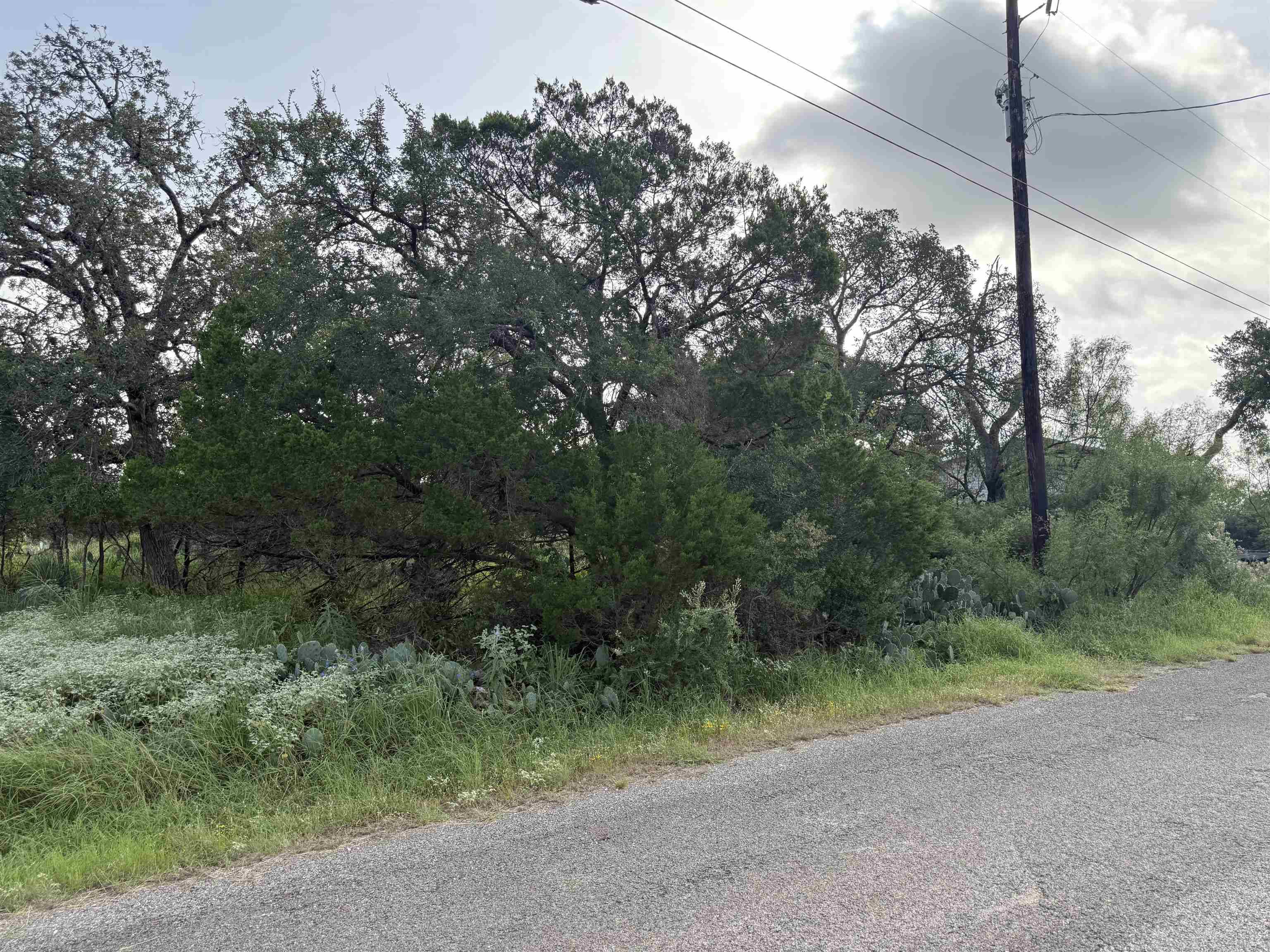 Lot 424 & 425 Oakhill DR, Granite Shoals, TX 78654