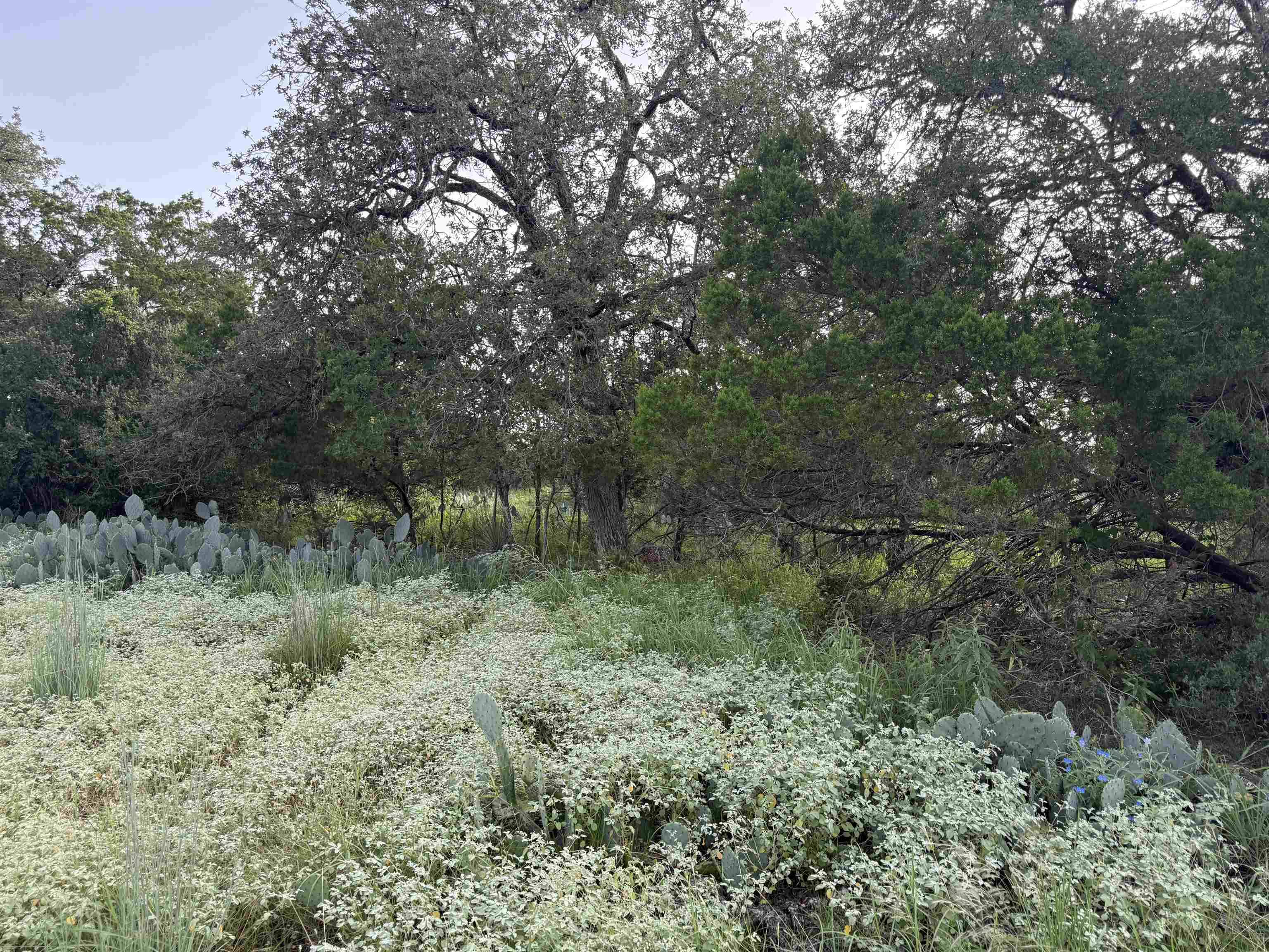 Lot 424 & 425 Oakhill DR, Granite Shoals, TX 78654