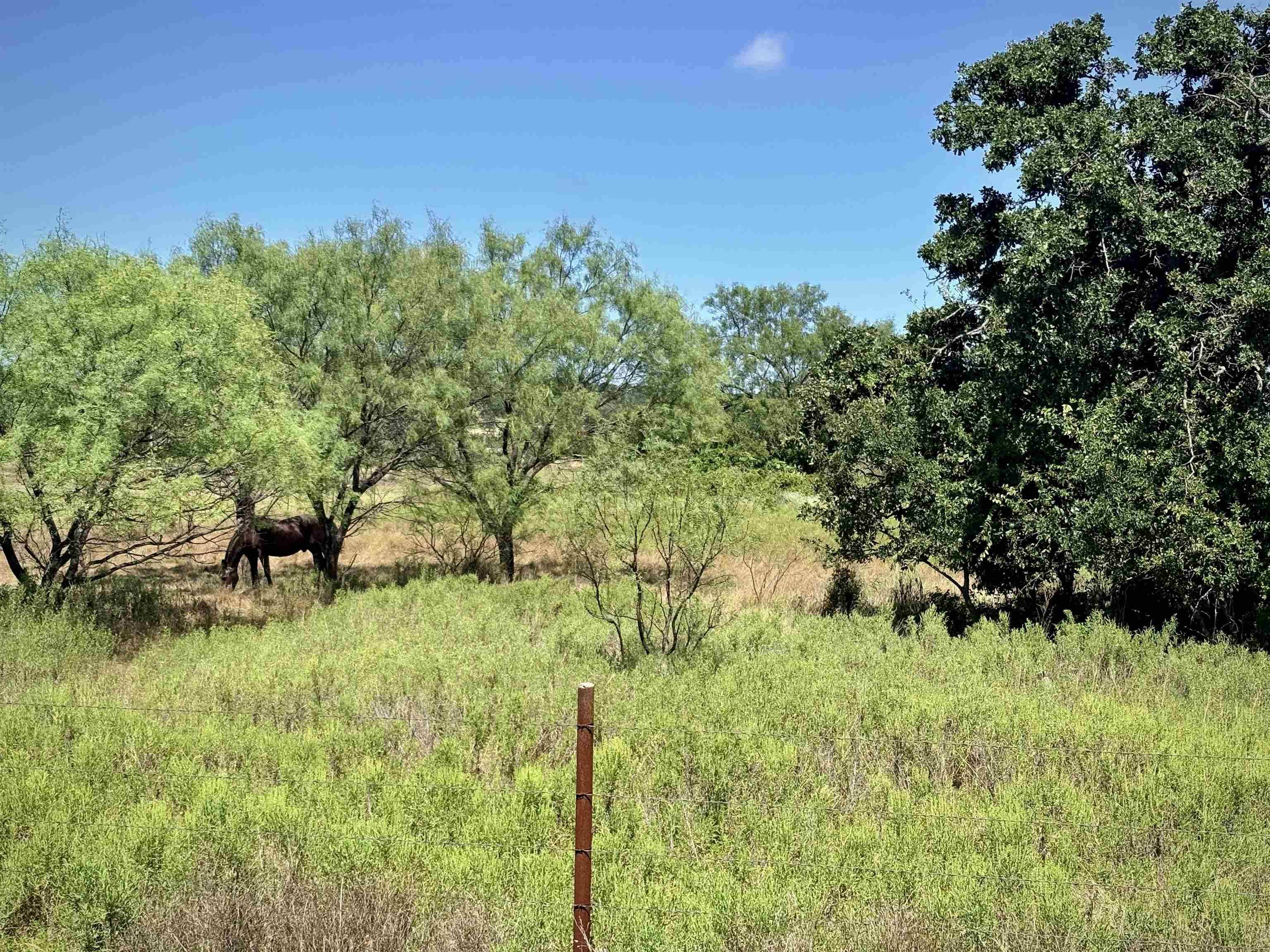 Buffalo Spring Circle, Valley Spring, TX 76885
