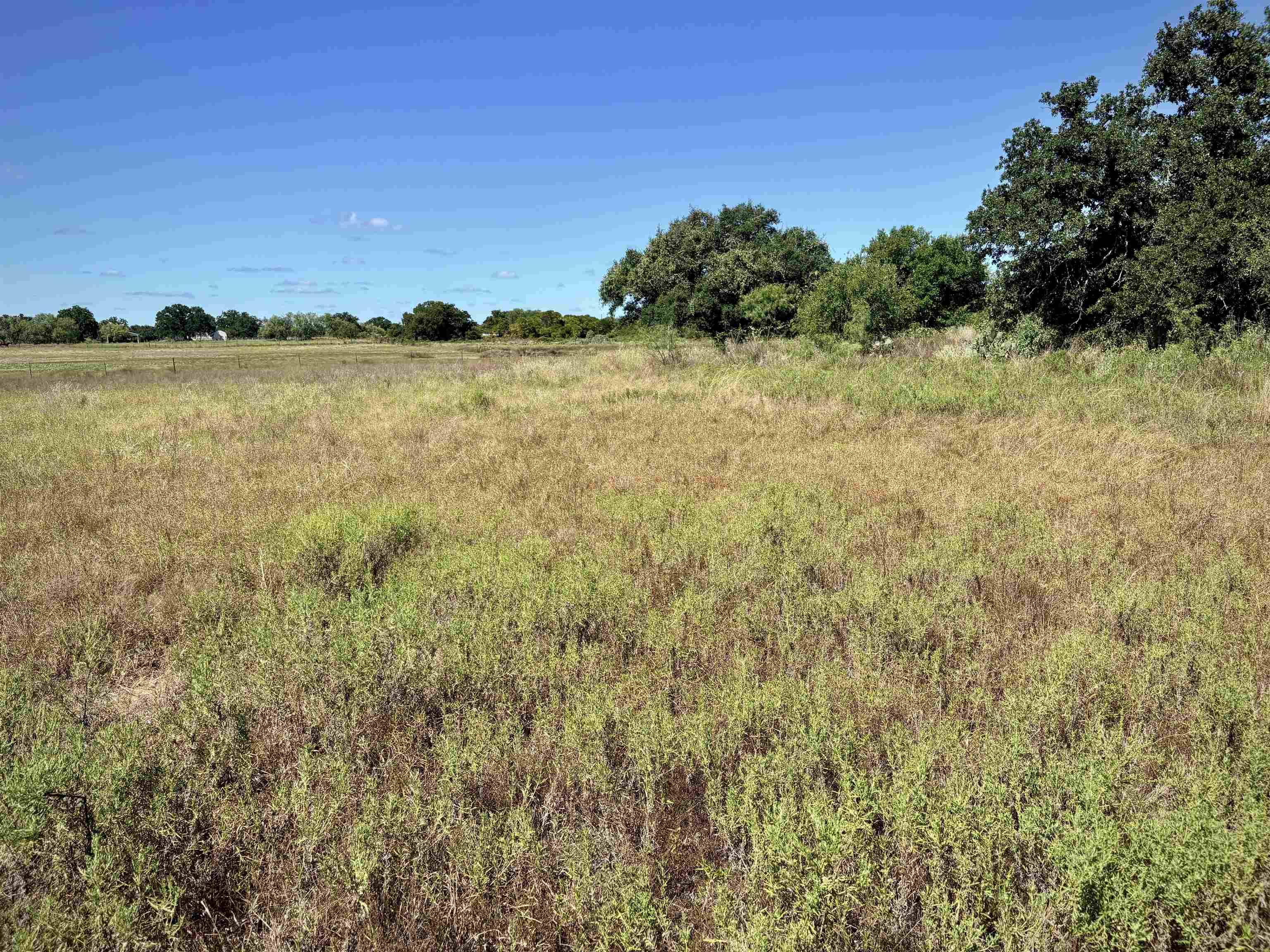 Buffalo Spring Circle, Valley Spring, TX 76885