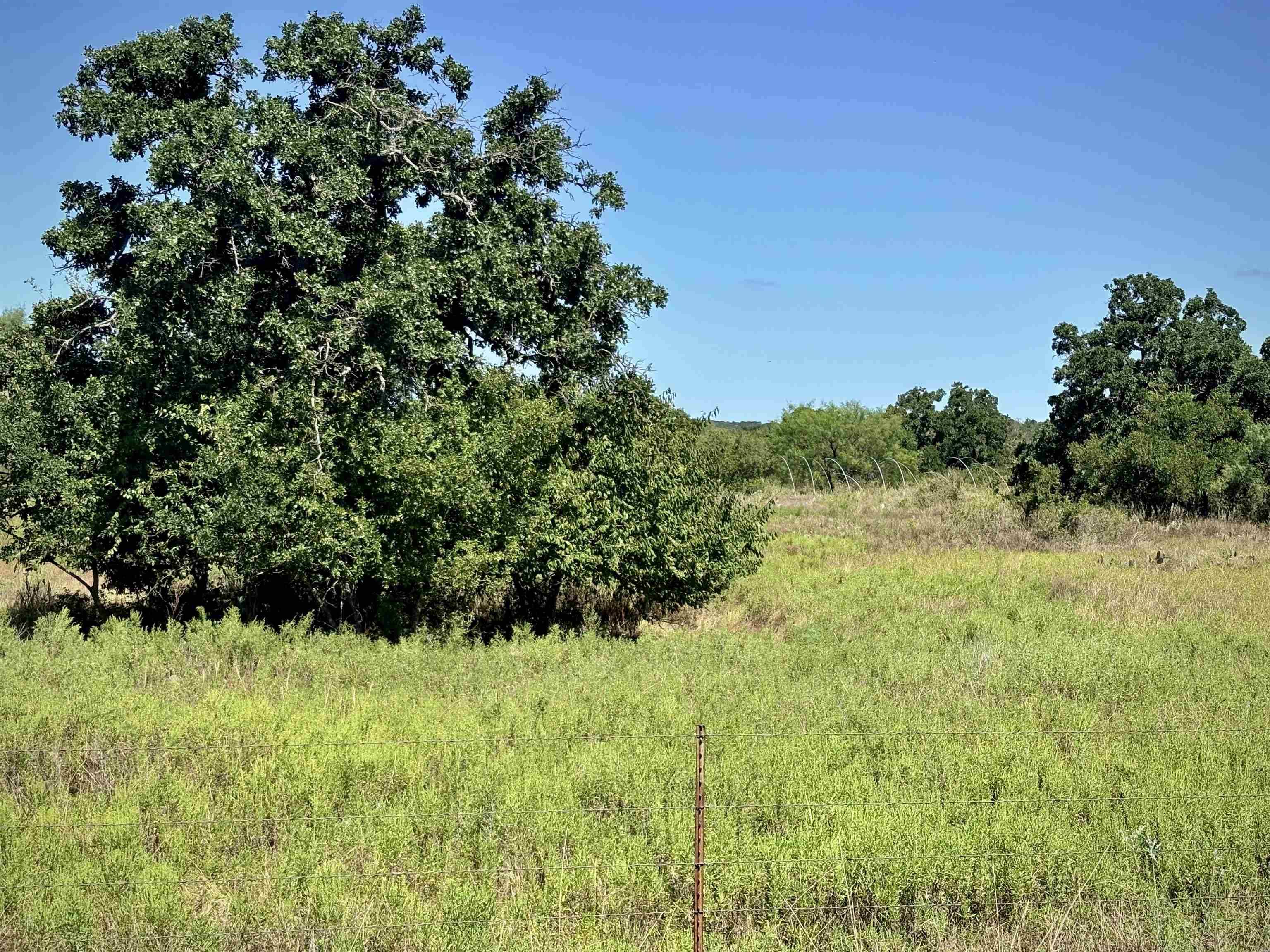 Buffalo Spring Circle, Valley Spring, TX 76885