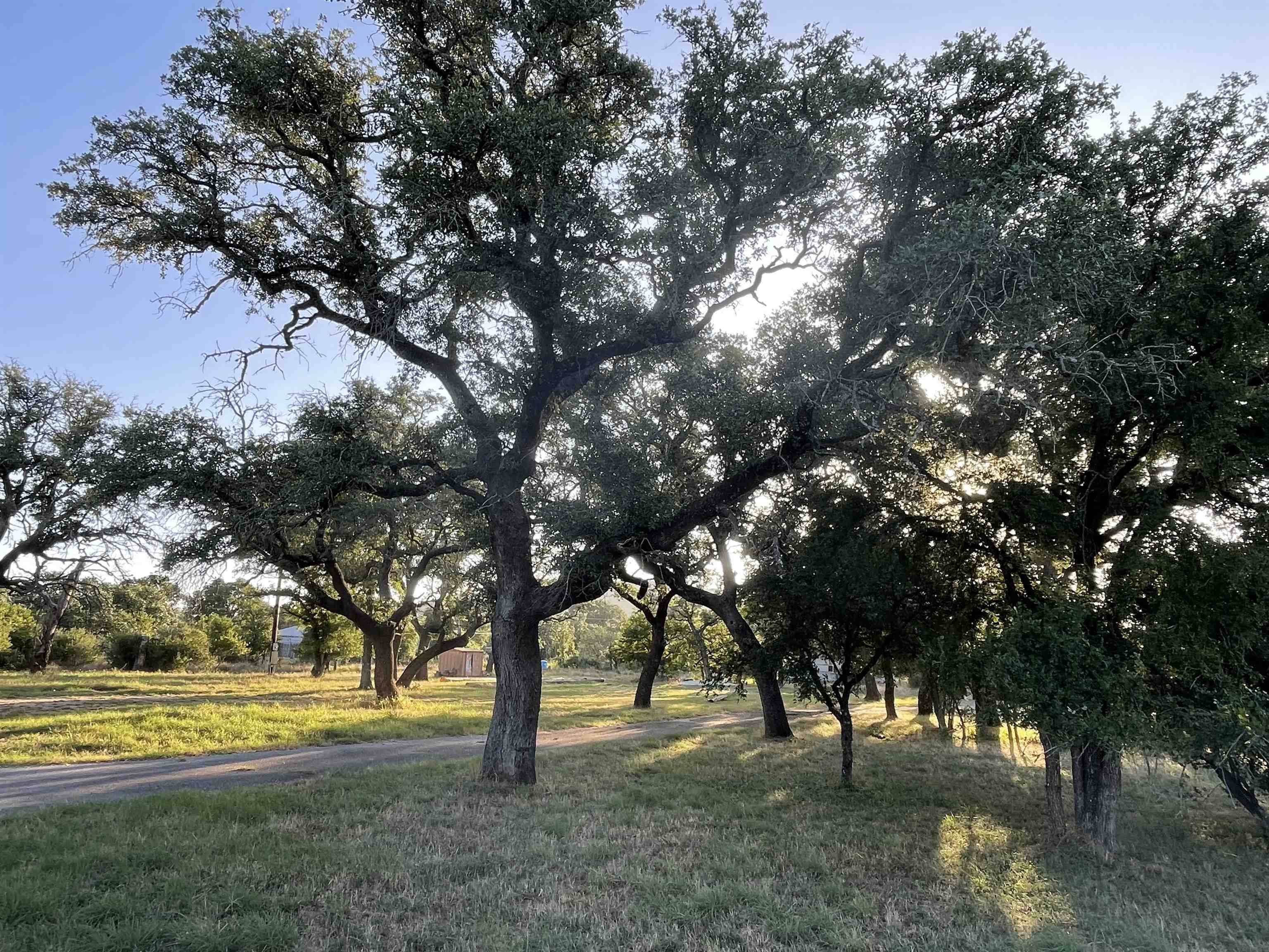 110 Wolf Run, Burnet, TX 78611