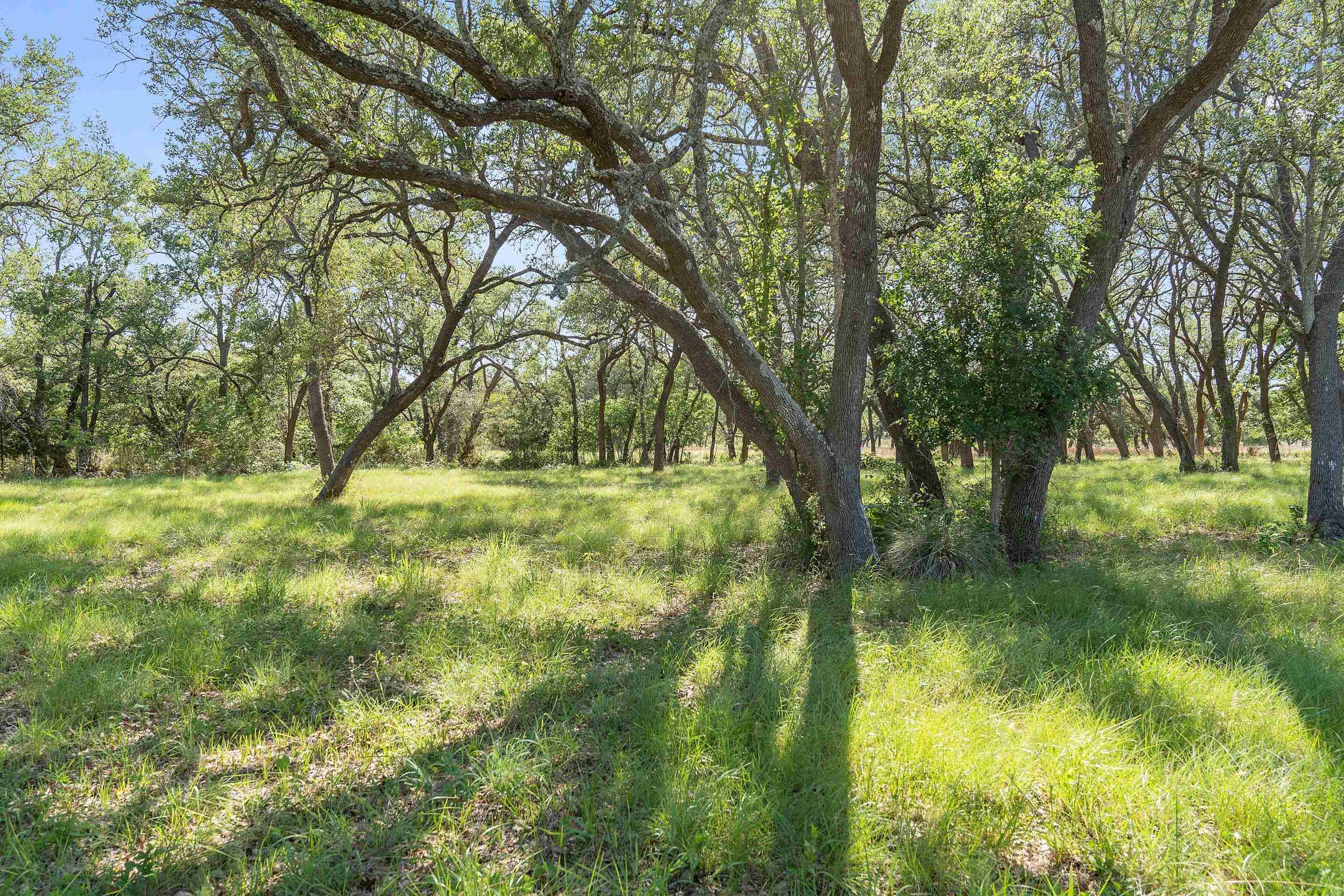 496 Landing LN, Blanco, TX 78606