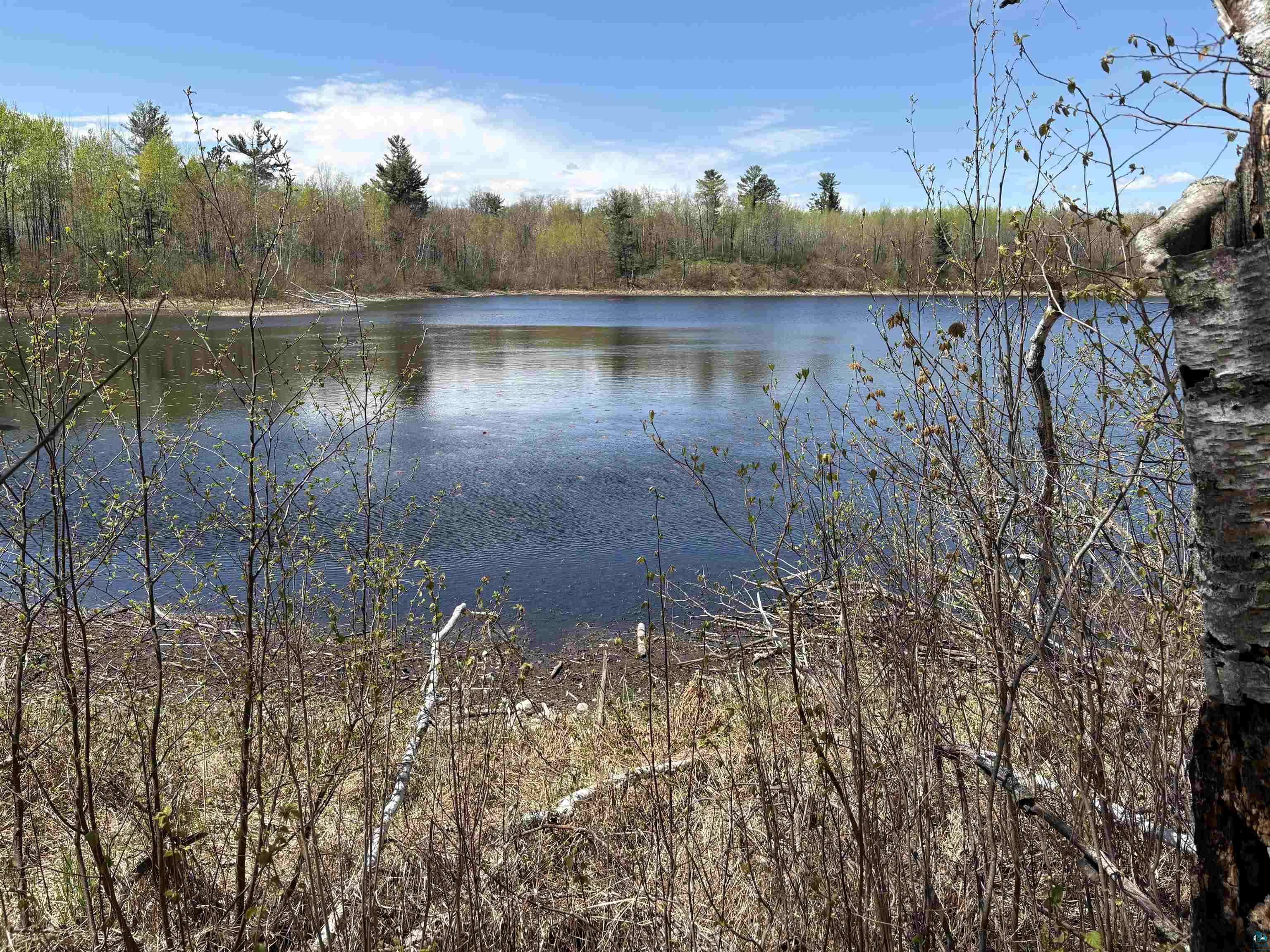 854x W Chub Lake Rd, Carlton, MN 55718