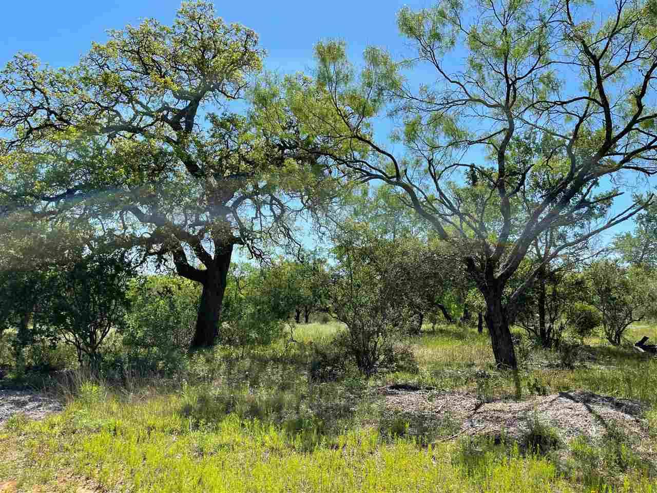 117 Creekside Trl, Spicewood, TX 78669