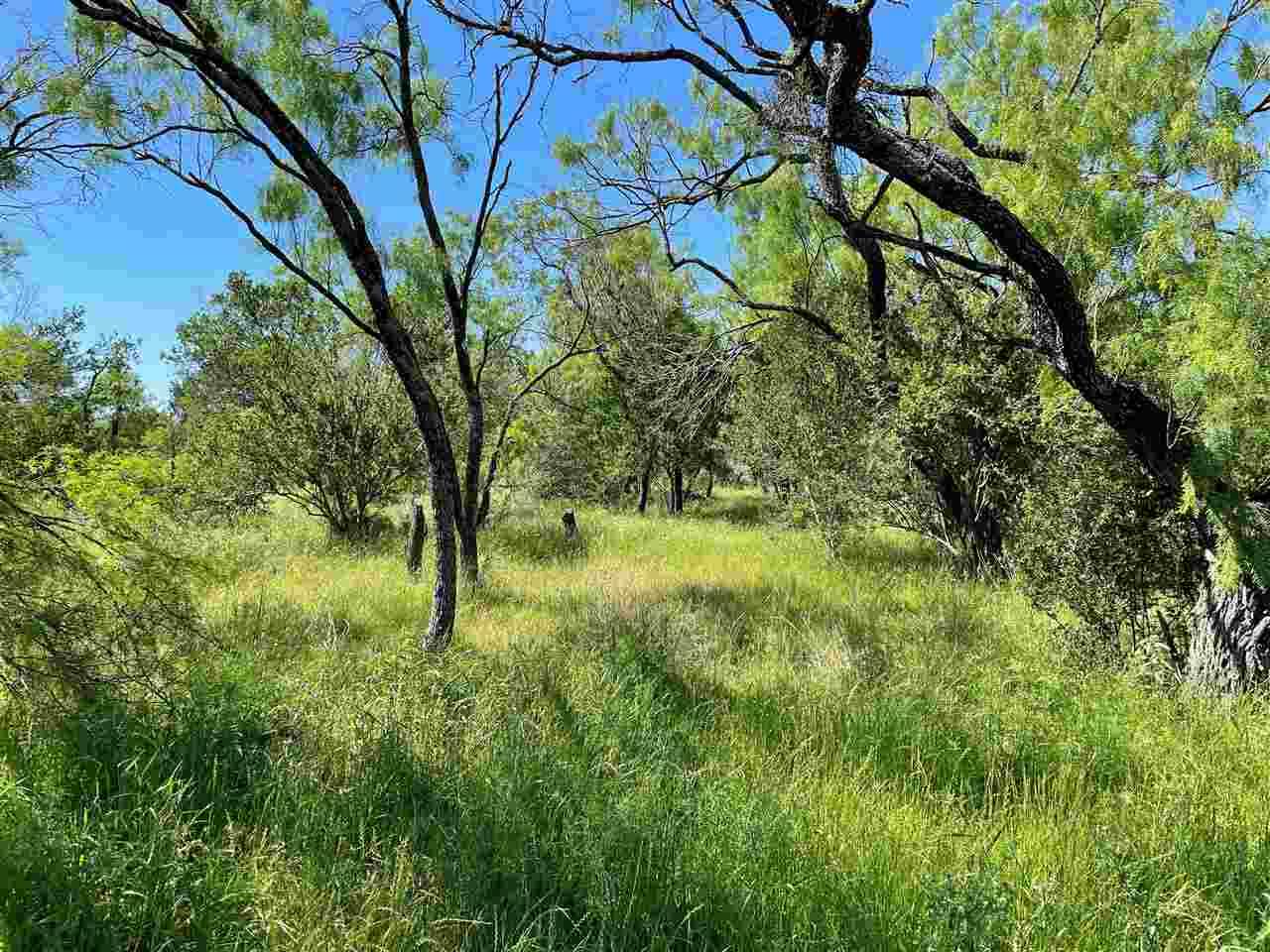 117 Creekside Trl, Spicewood, TX 78669