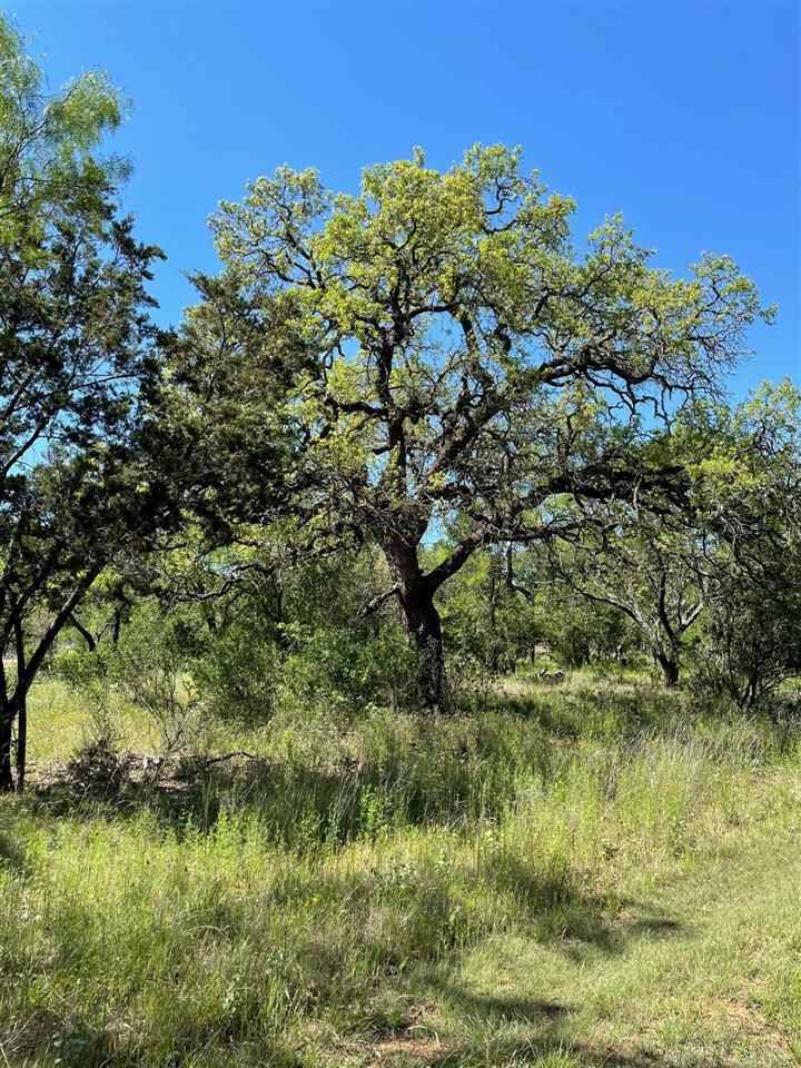 117 Creekside Trl, Spicewood, TX 78669