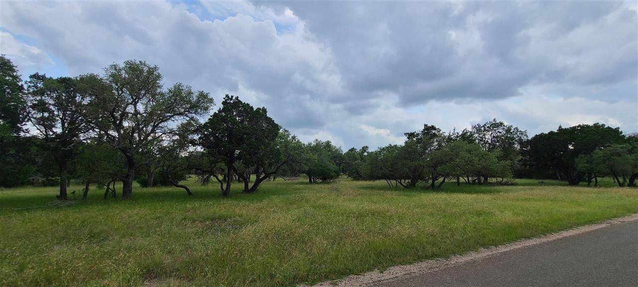 Lot 162 County Road 100, Burnet, TX 78611