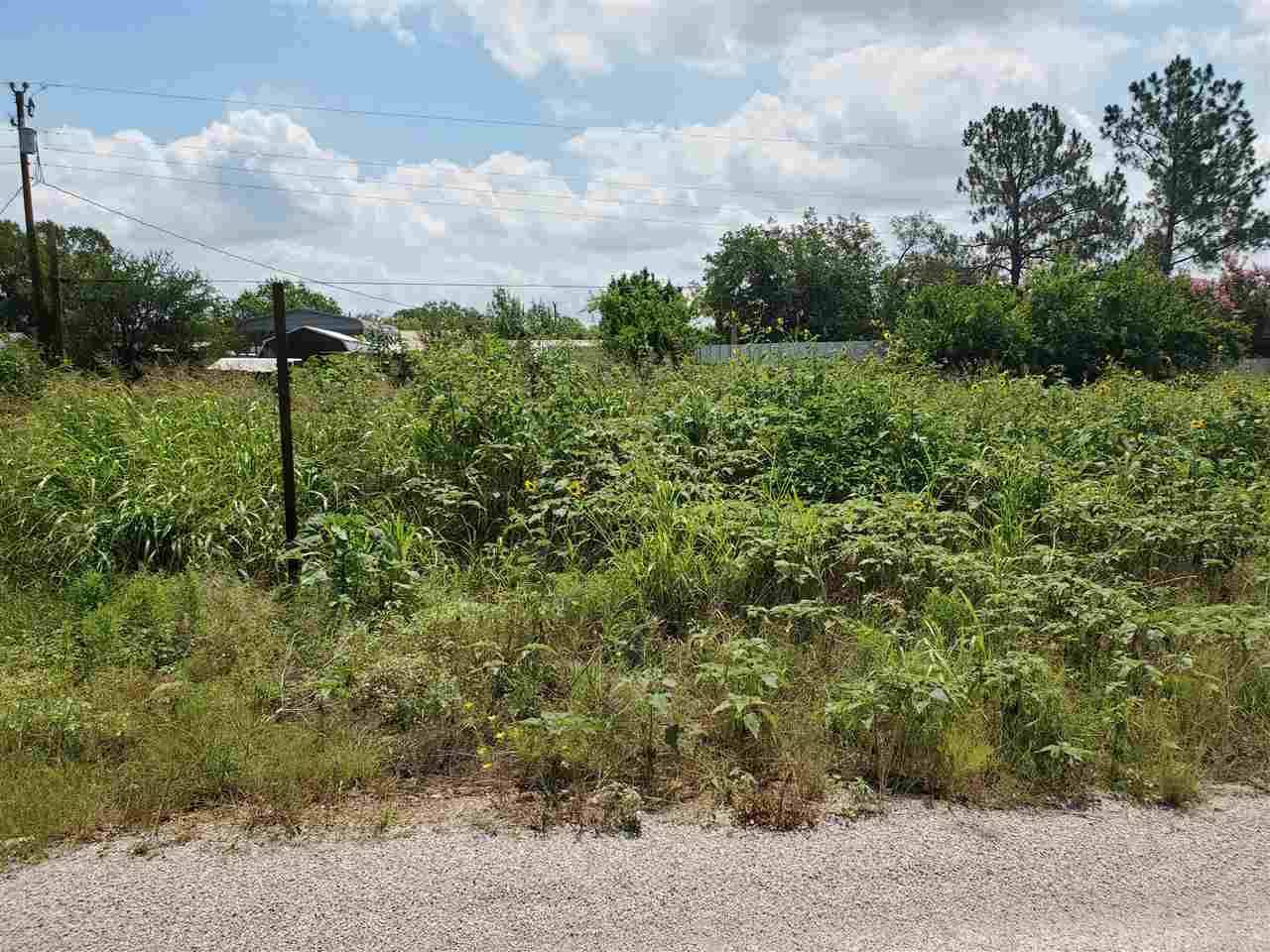 Violet, Kingsland, TX 78639