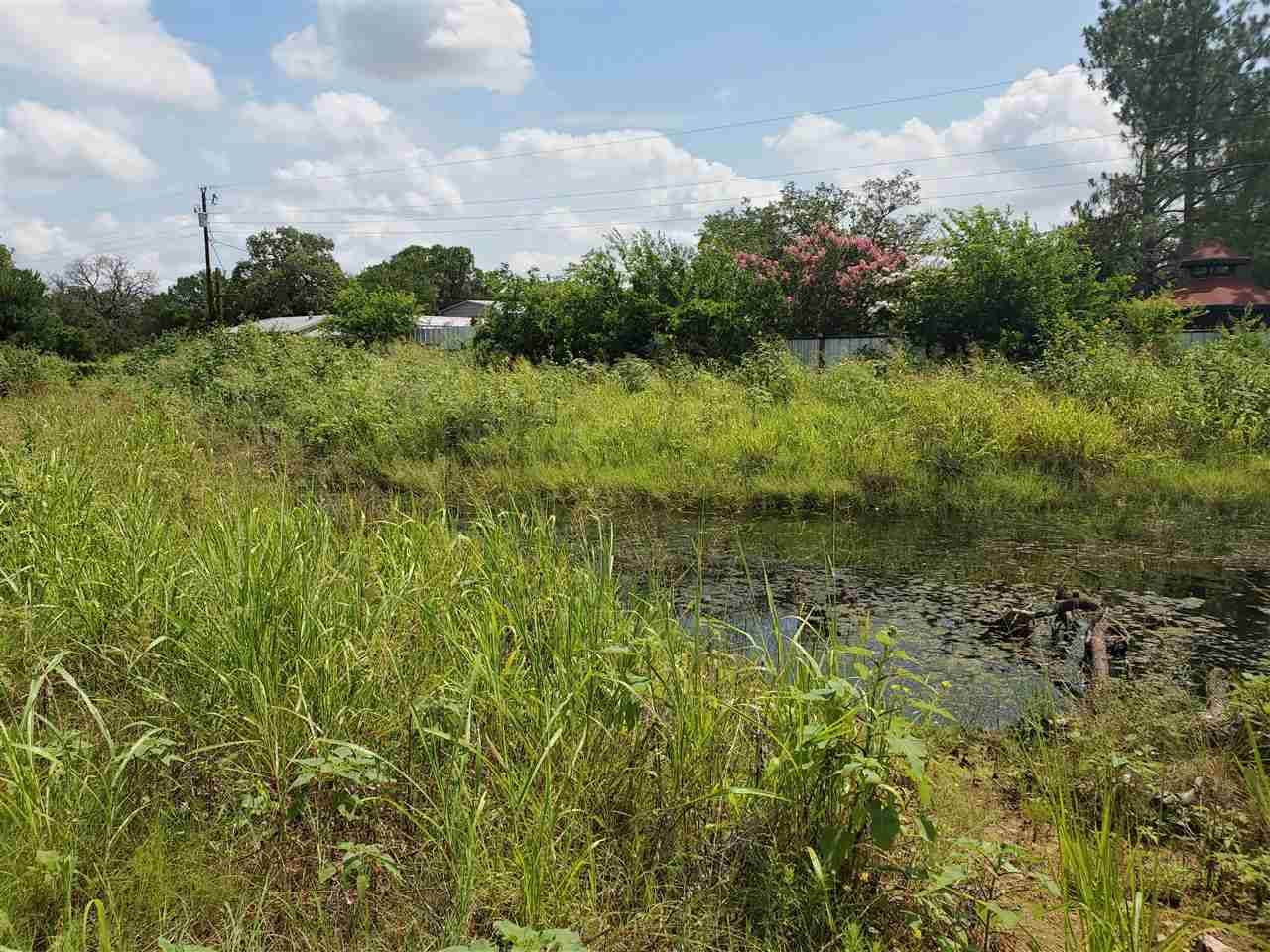 Violet, Kingsland, TX 78639