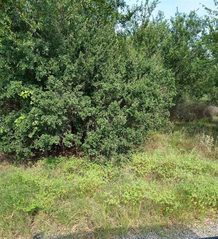 0 W Marble West St ST, Llano, TX 78643