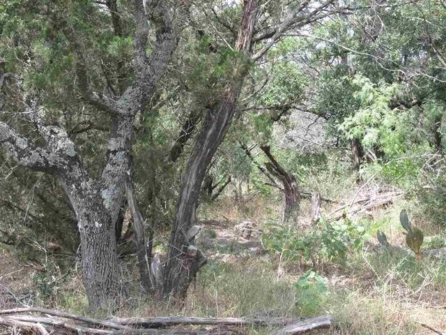 TBD Ed Low DR, Burnet, TX 78611