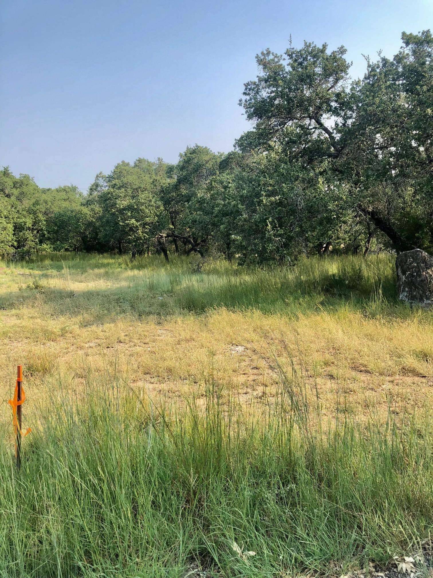 LT W35409 Apache Tears, Horseshoe Bay, TX 78657
