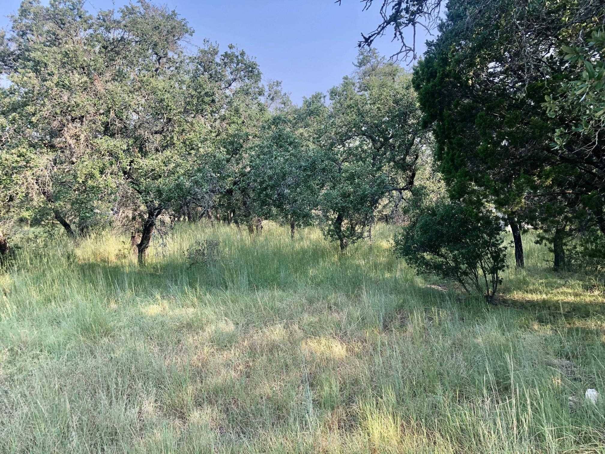 LT W35409 Apache Tears, Horseshoe Bay, TX 78657