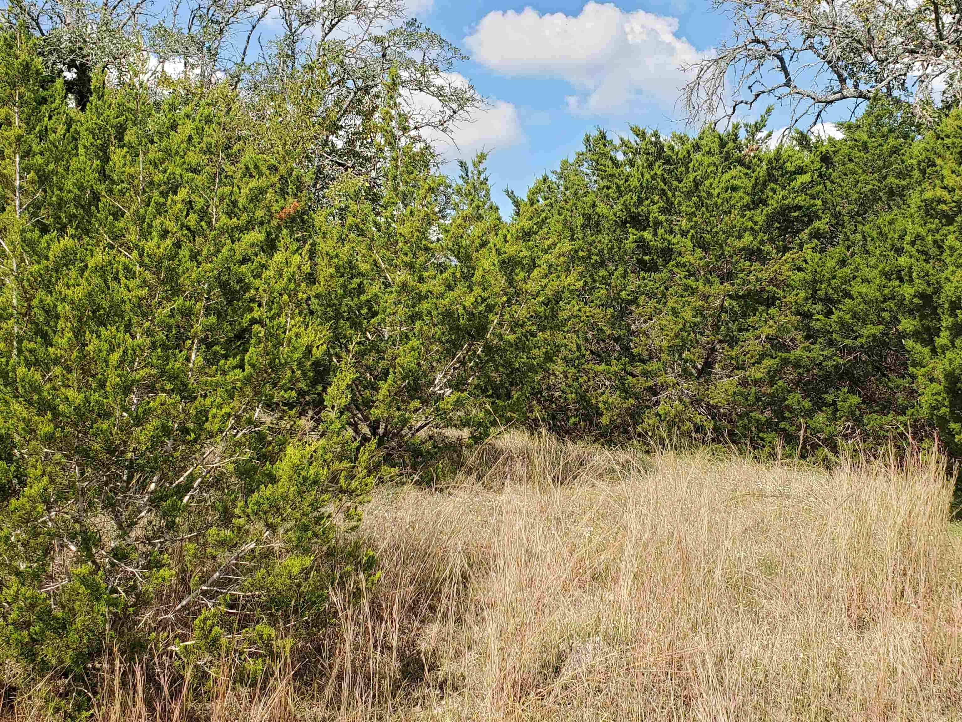 12300 Montana Springs DR, Marble Falls, TX 78654
