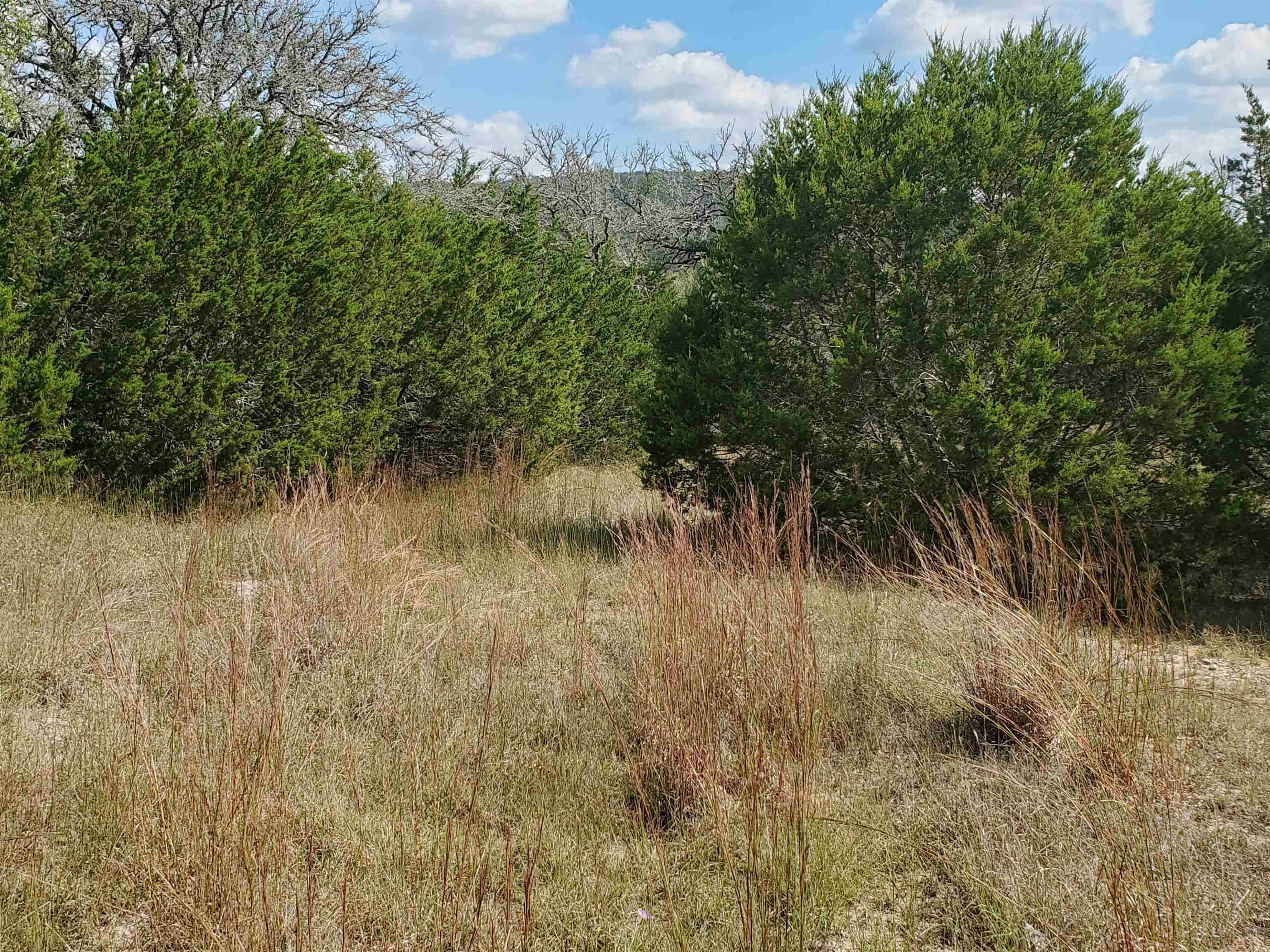 12300 Montana Springs DR, Marble Falls, TX 78654