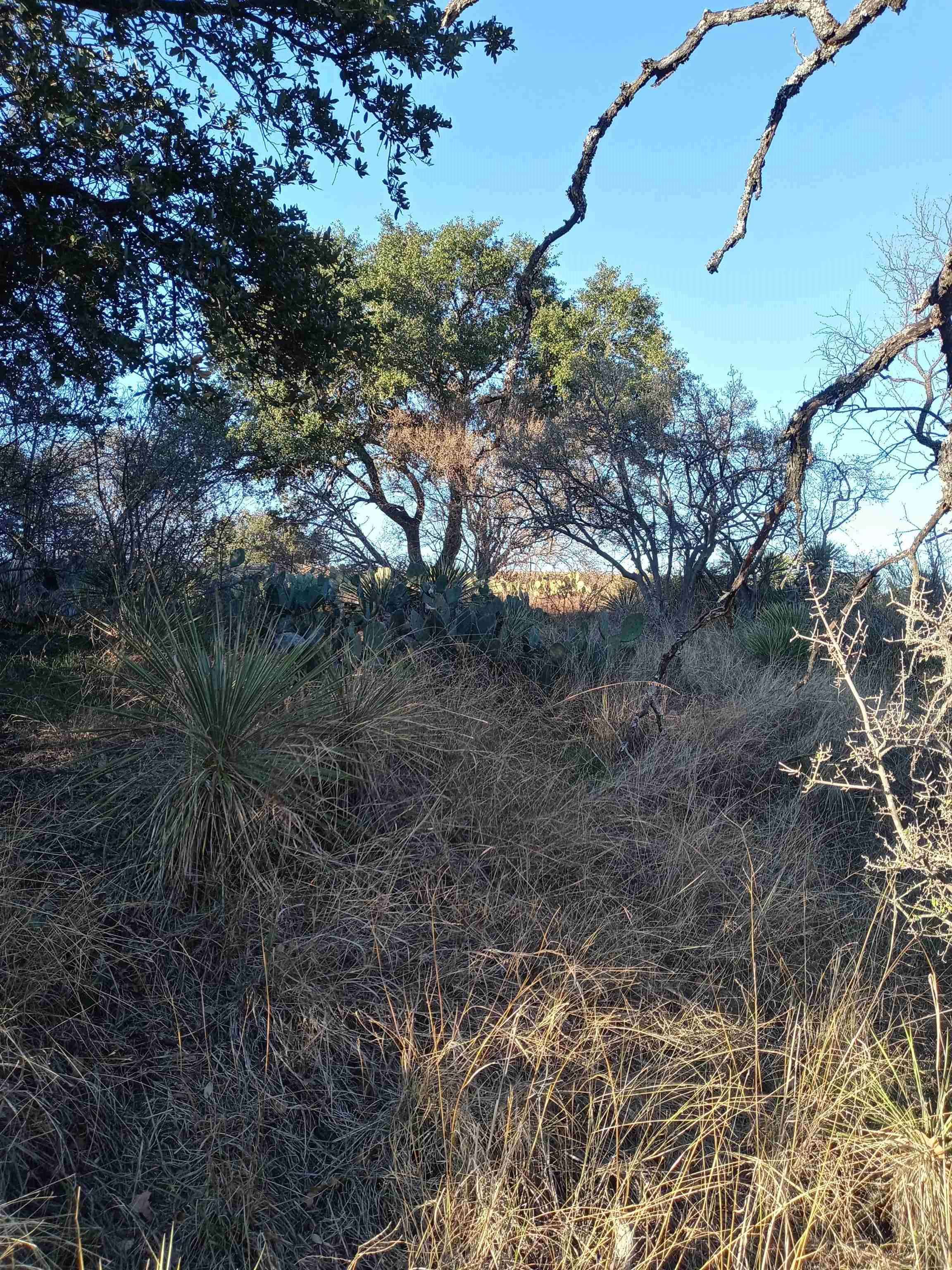 Lot 661-663 W Newcastle DR, Marble Falls, TX 78654