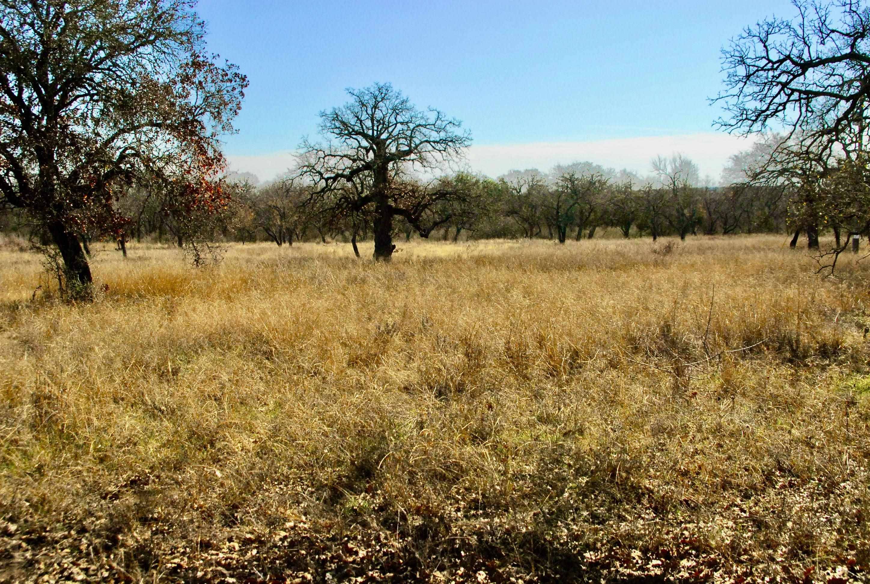 lot 4 Los Encinos, Marble Falls, TX 78654