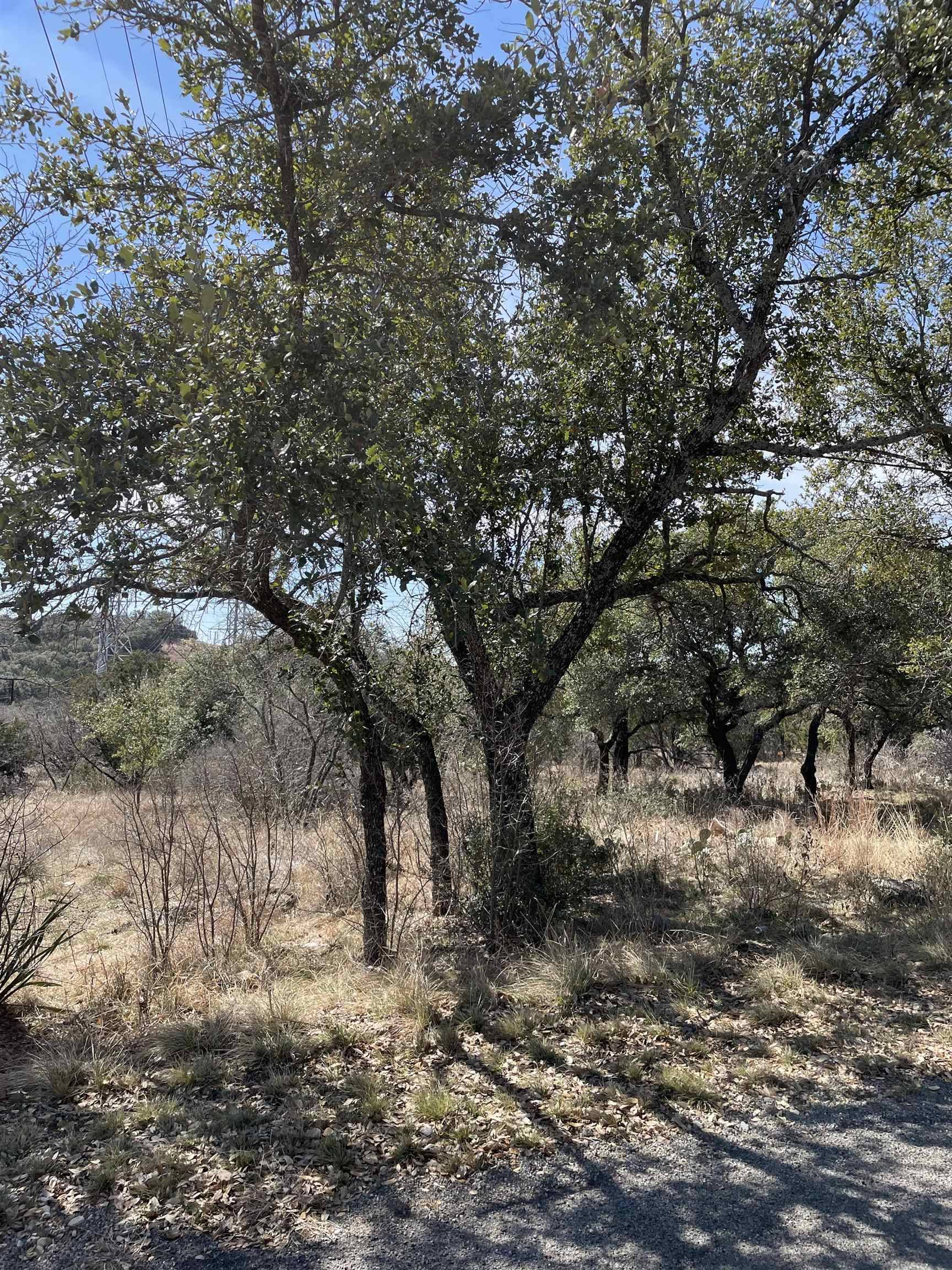 301 Knights Row, Cottonwood Shores, TX 78657
