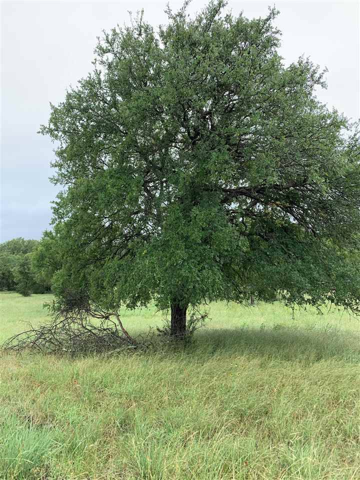 1302 Cats Eye, Horseshoe Bay, TX 78657