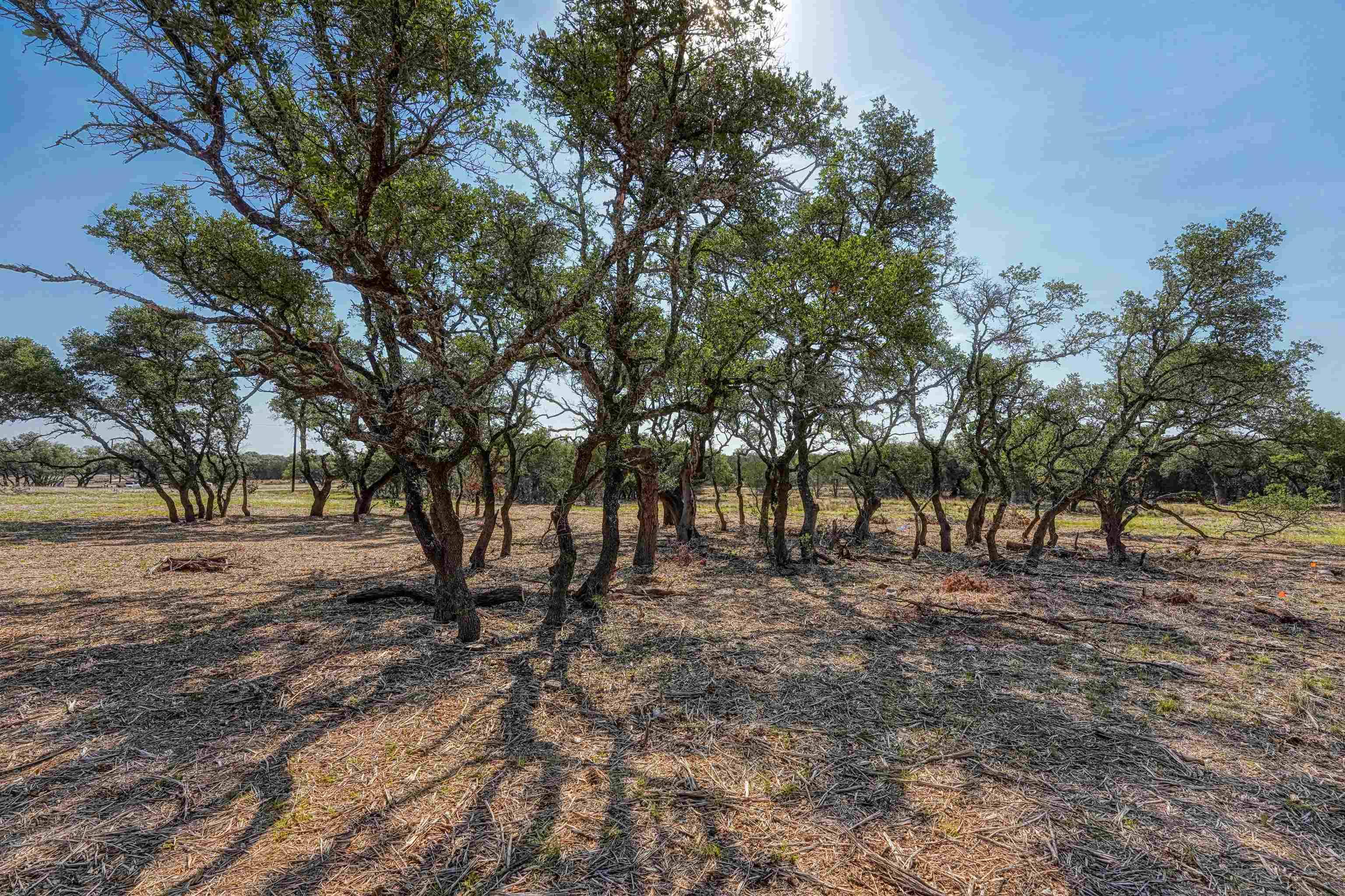 221 Wandering Oaks CIR, Burnet, TX 78611