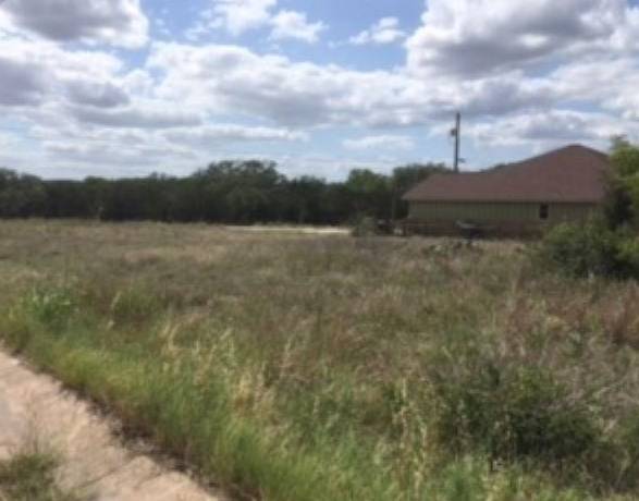 TBD Hamilton DR, Burnet, TX 78611-0000